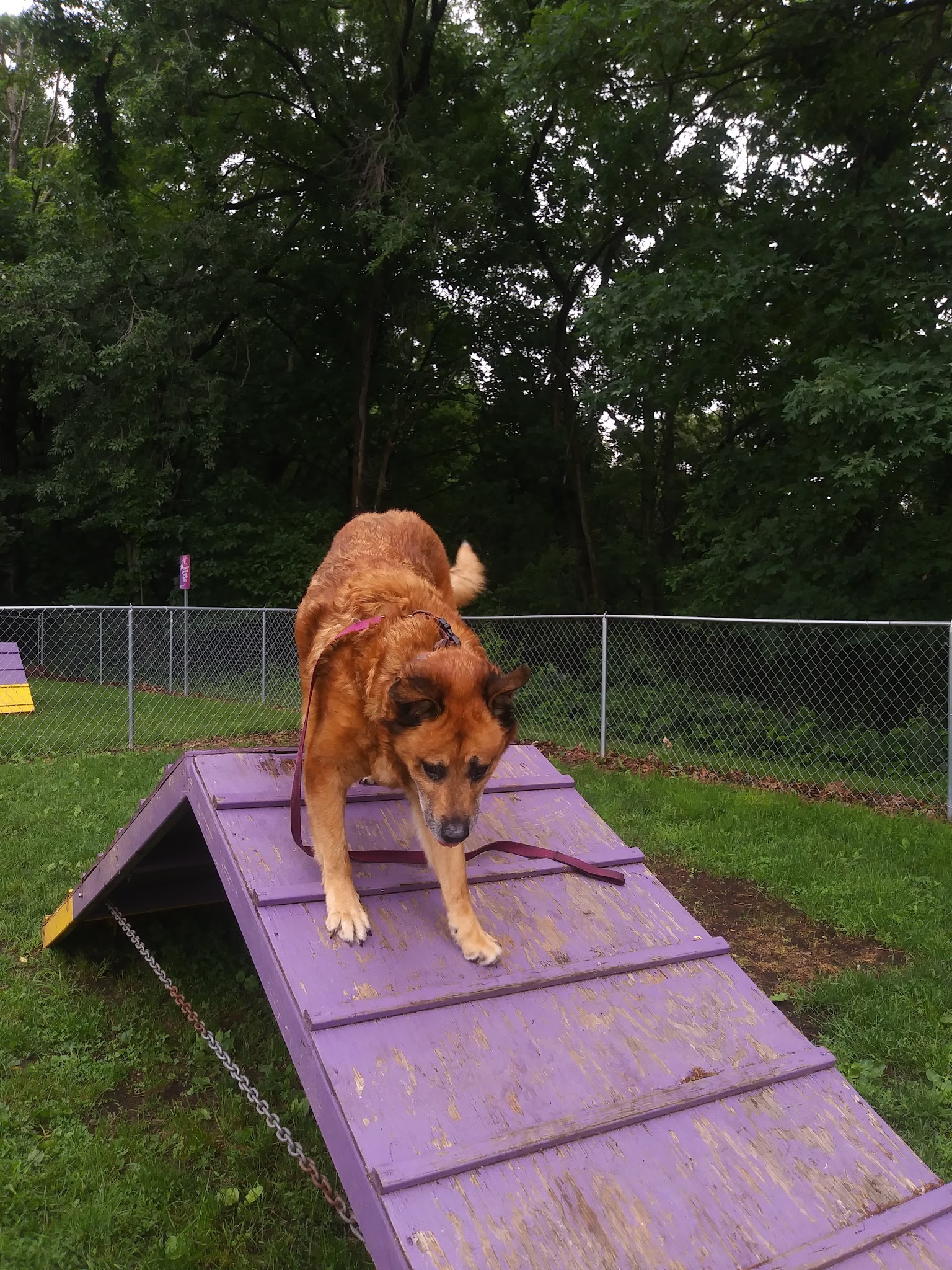 Ambridge Borough Park - Ambridge, PA