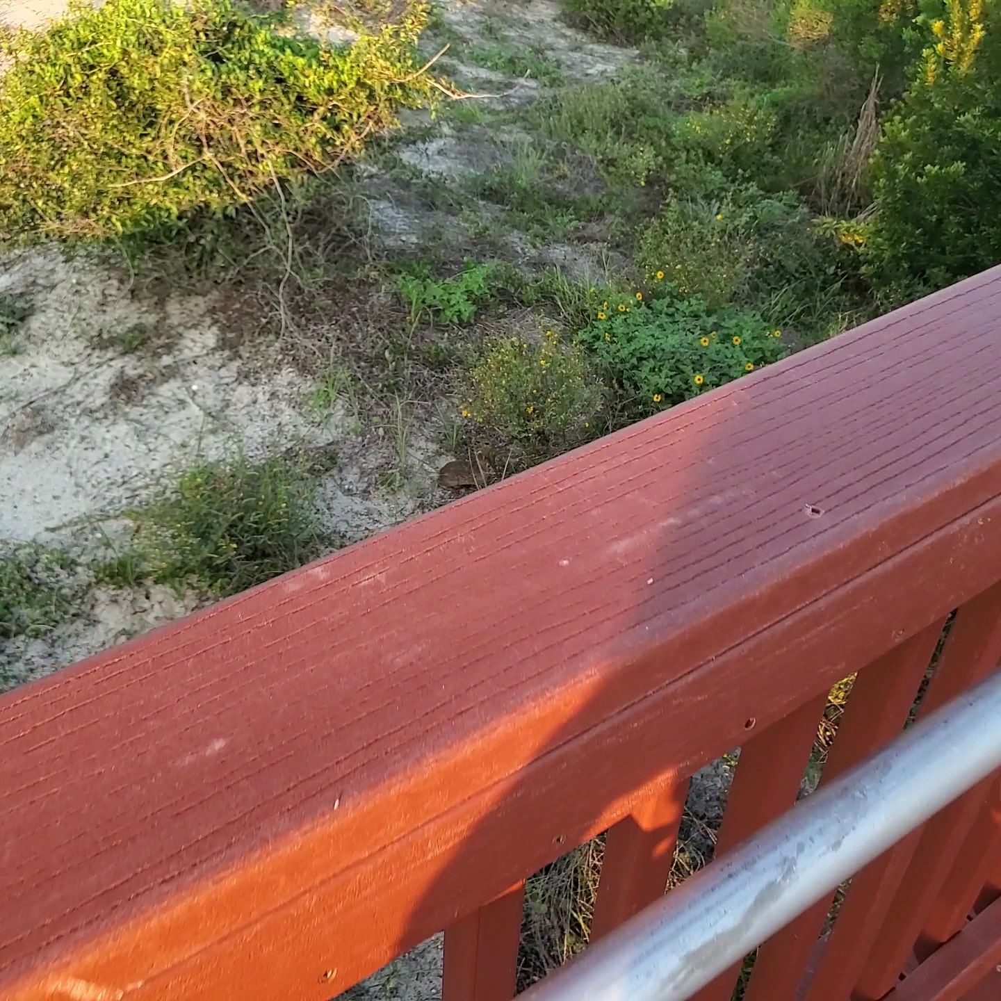 Burney Park - Amelia Island, FL