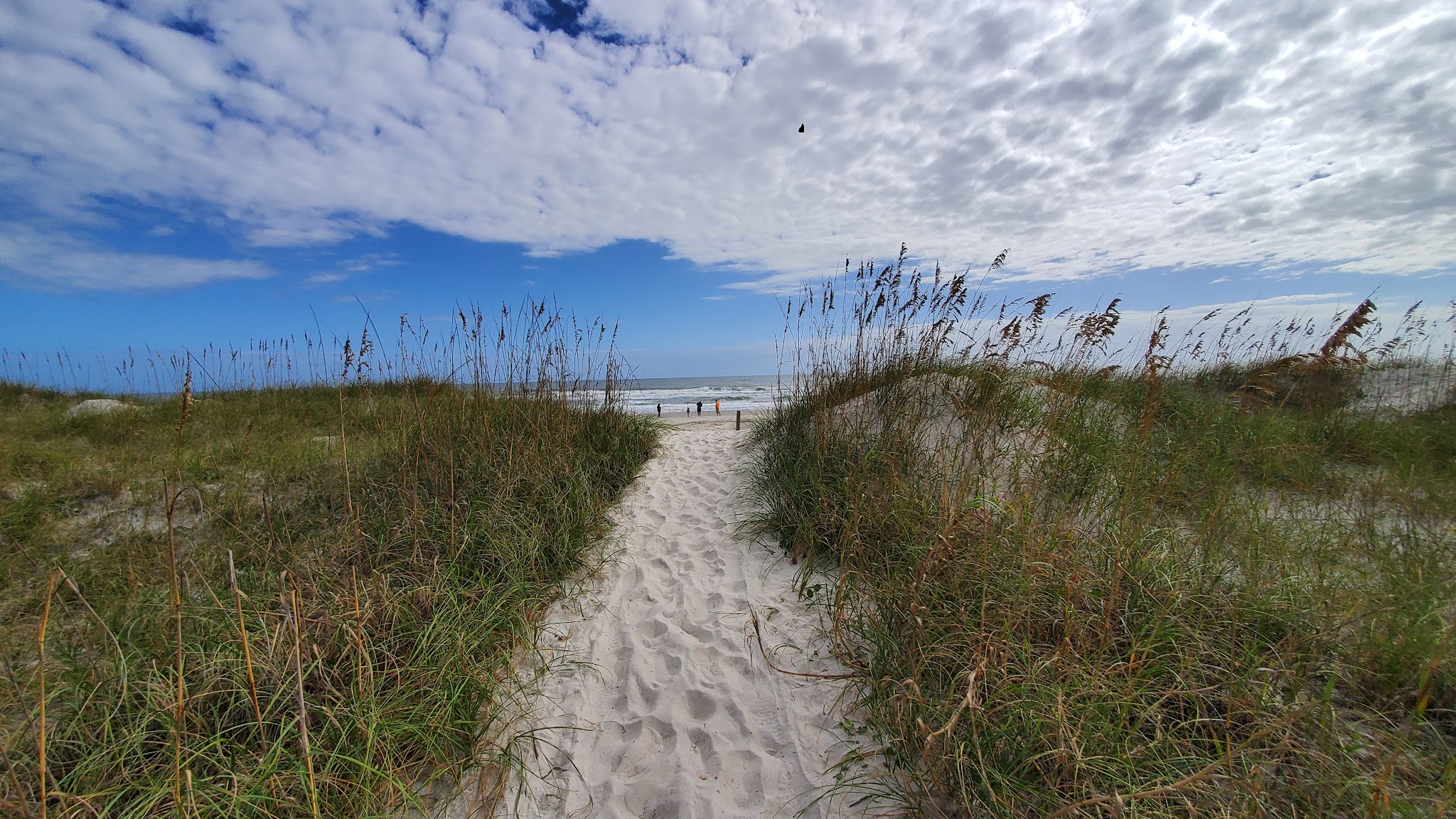 Burney Park - Amelia Island, FL