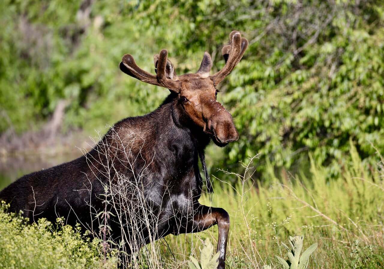 Willow Bay Resort - American Falls, ID