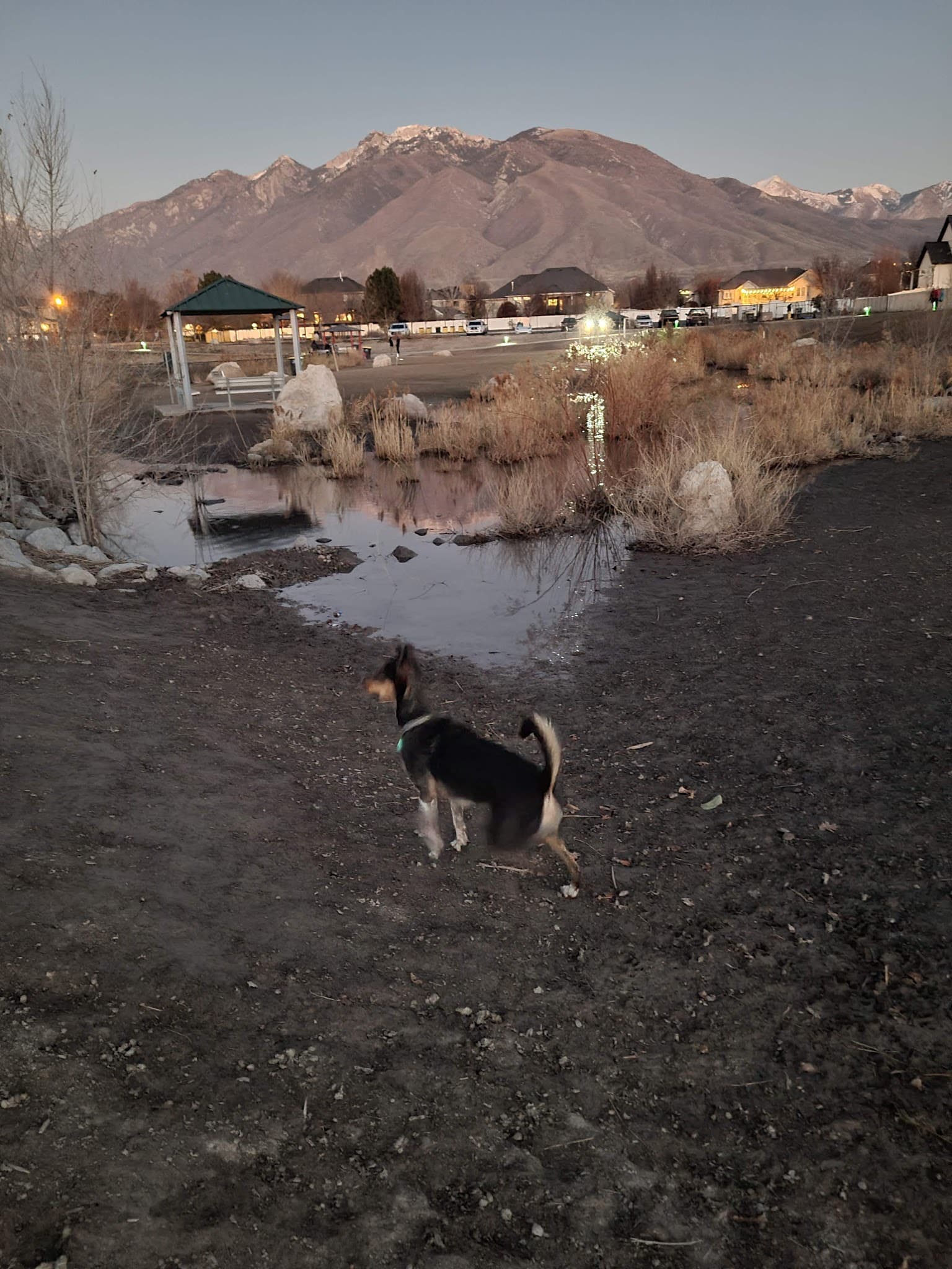 Willow Glen Home Owners Association Dog Park - American Fork, UT