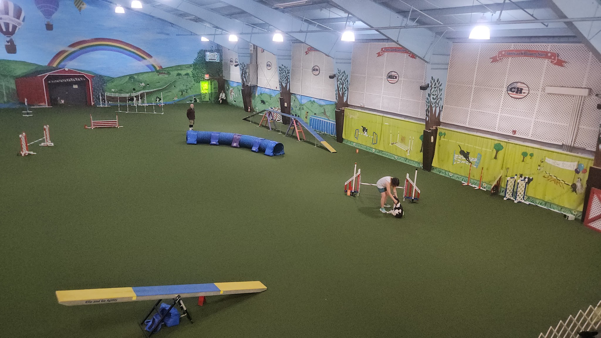 American K-9 Country - Amherst, NH