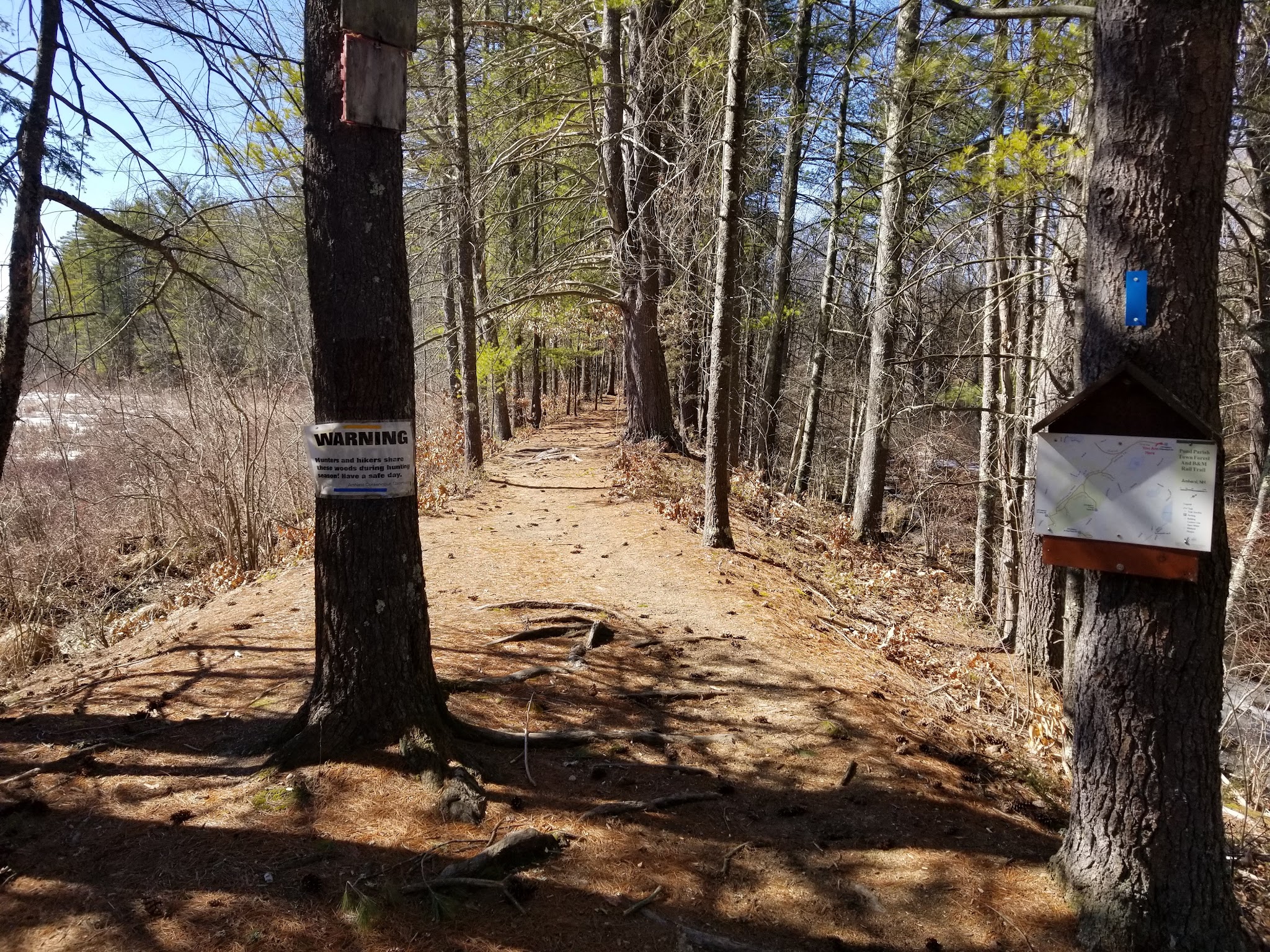B&M Trail - Amherst, NH