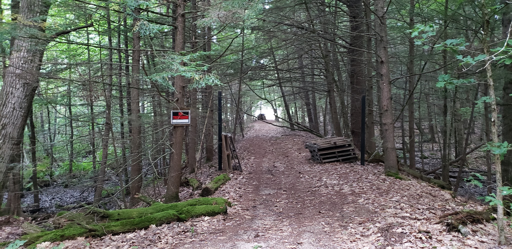 B&M Trail - Amherst, NH