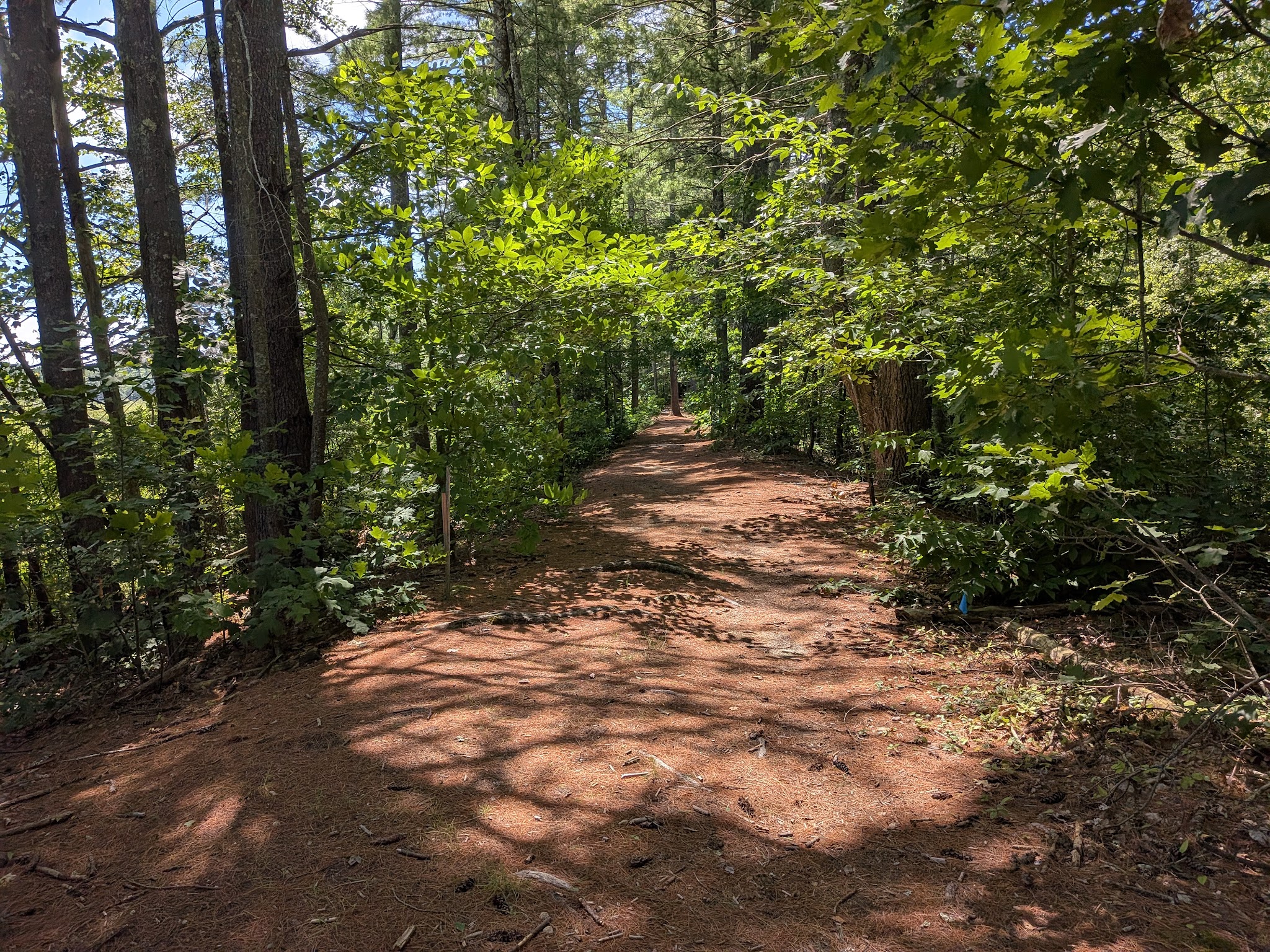B&M Trail - Amherst, NH