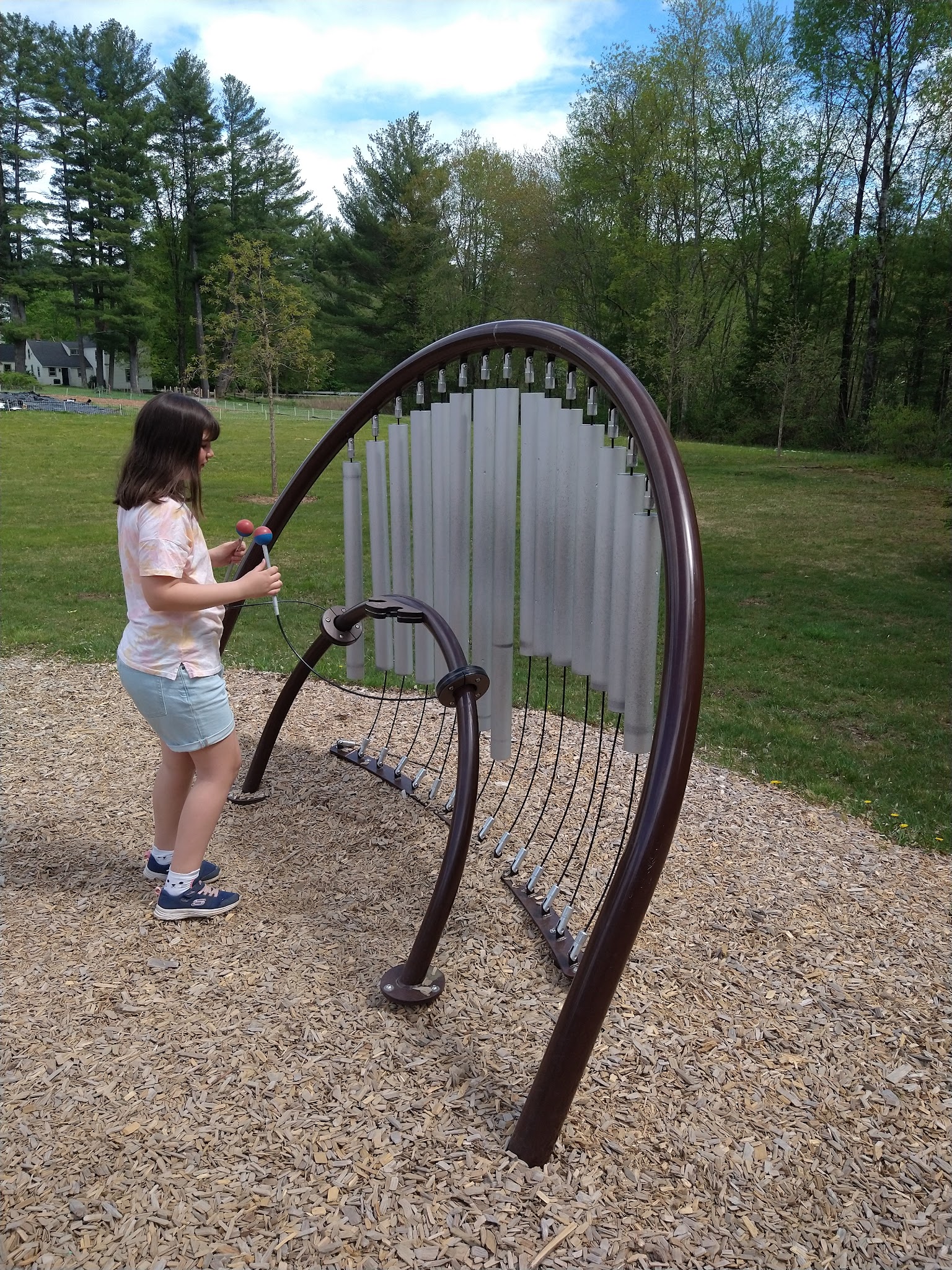 Joshua's Park - Amherst, NH