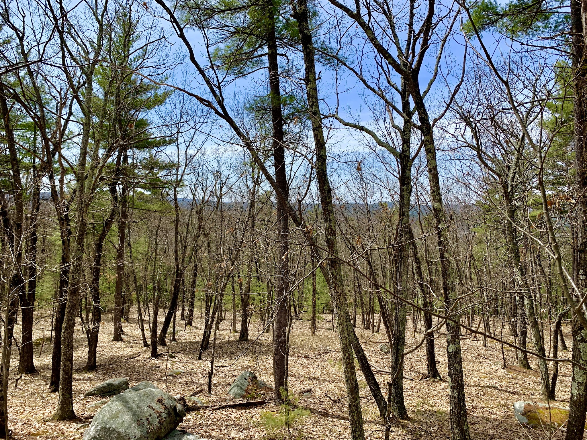Patch Hill Trail Amherst Parking Lot - Amherst, NH