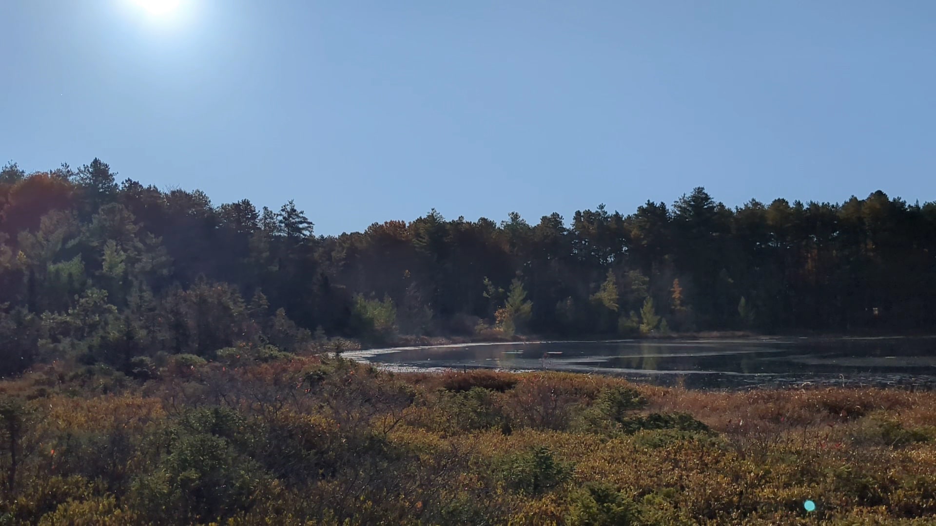 Ponemah Bog - Amherst, NH