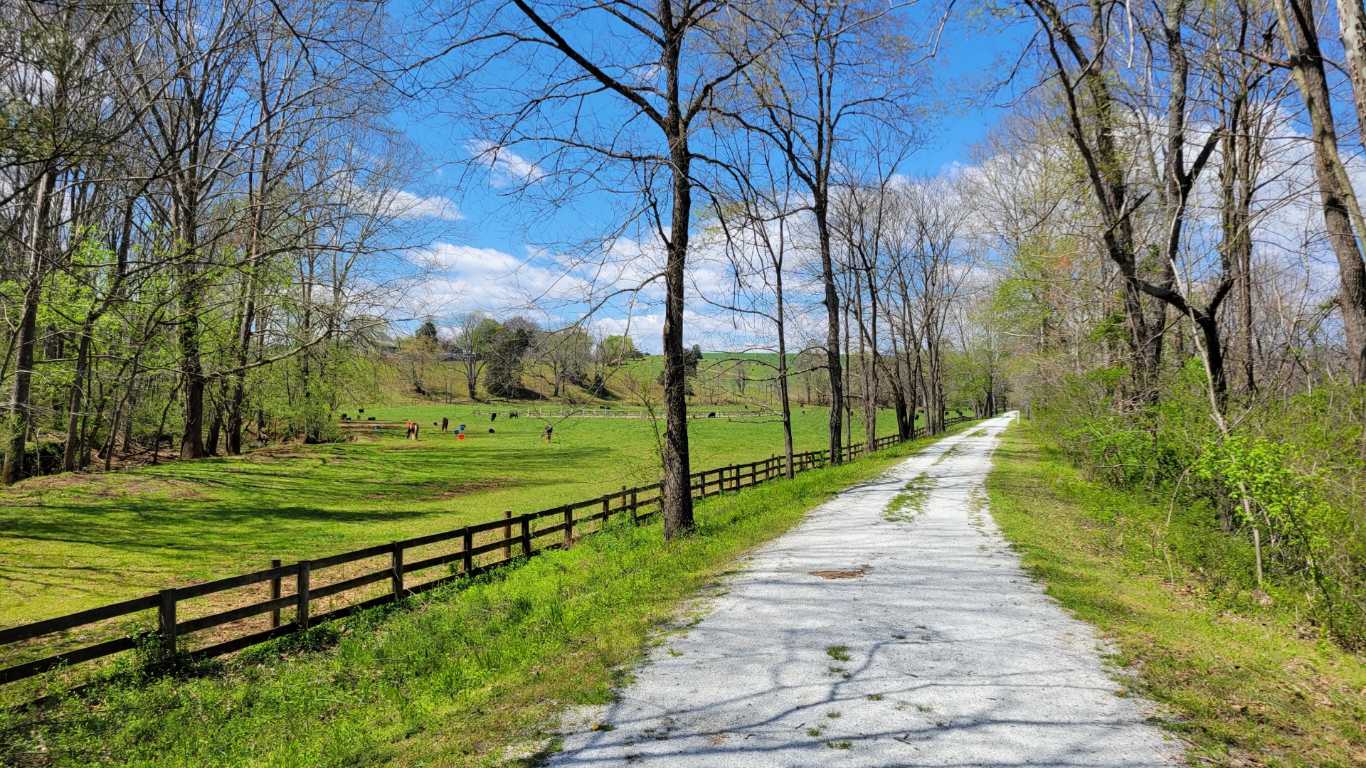 Virginia Blue Ridge Railway Trail Rose Mill Trail Head - Amherst, VA