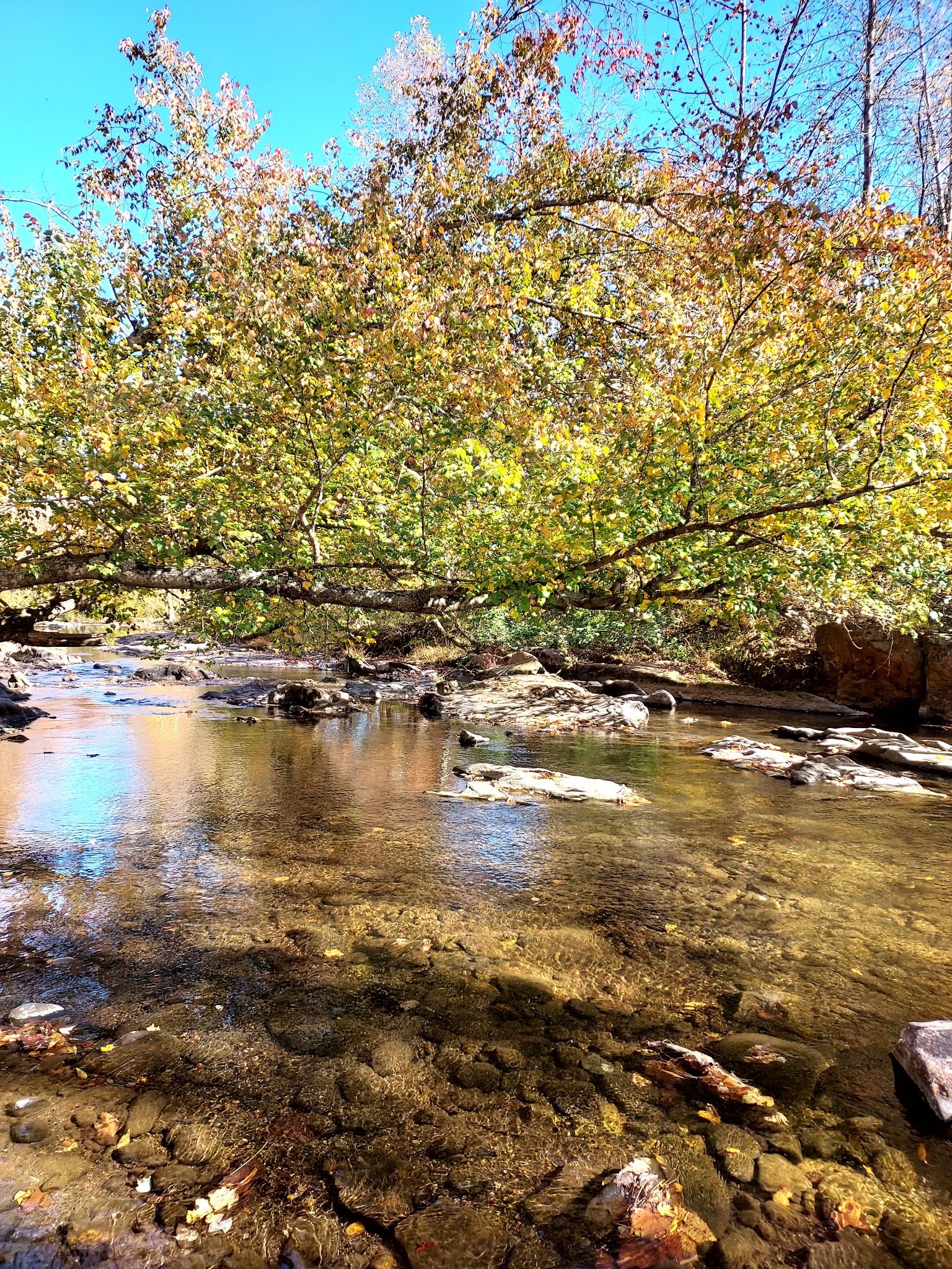 Virginia Blue Ridge Railway Trail Rose Mill Trail Head - Amherst, VA