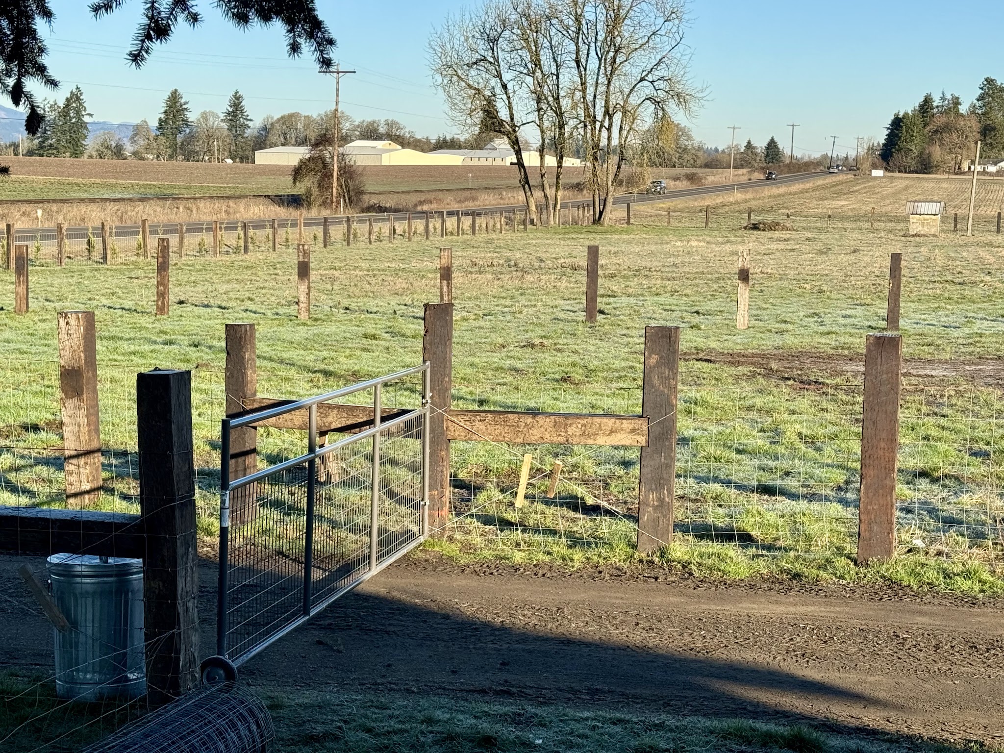 WILD RIDE Dog Park - Amity, OR