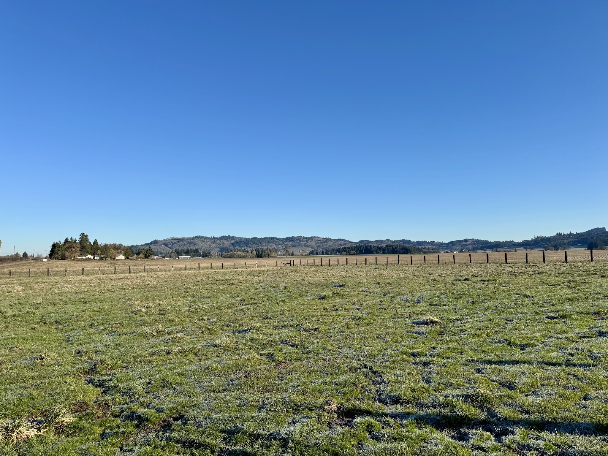 WILD RIDE Dog Park - Amity, OR