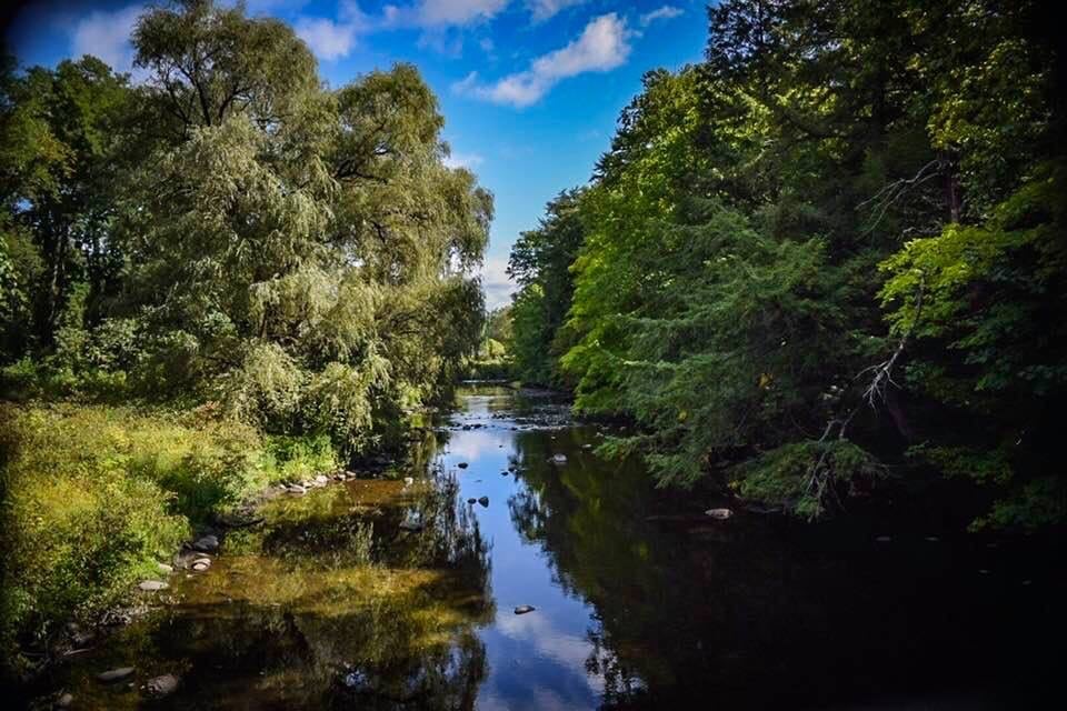 Shuttleworth Park - Amsterdam, NY