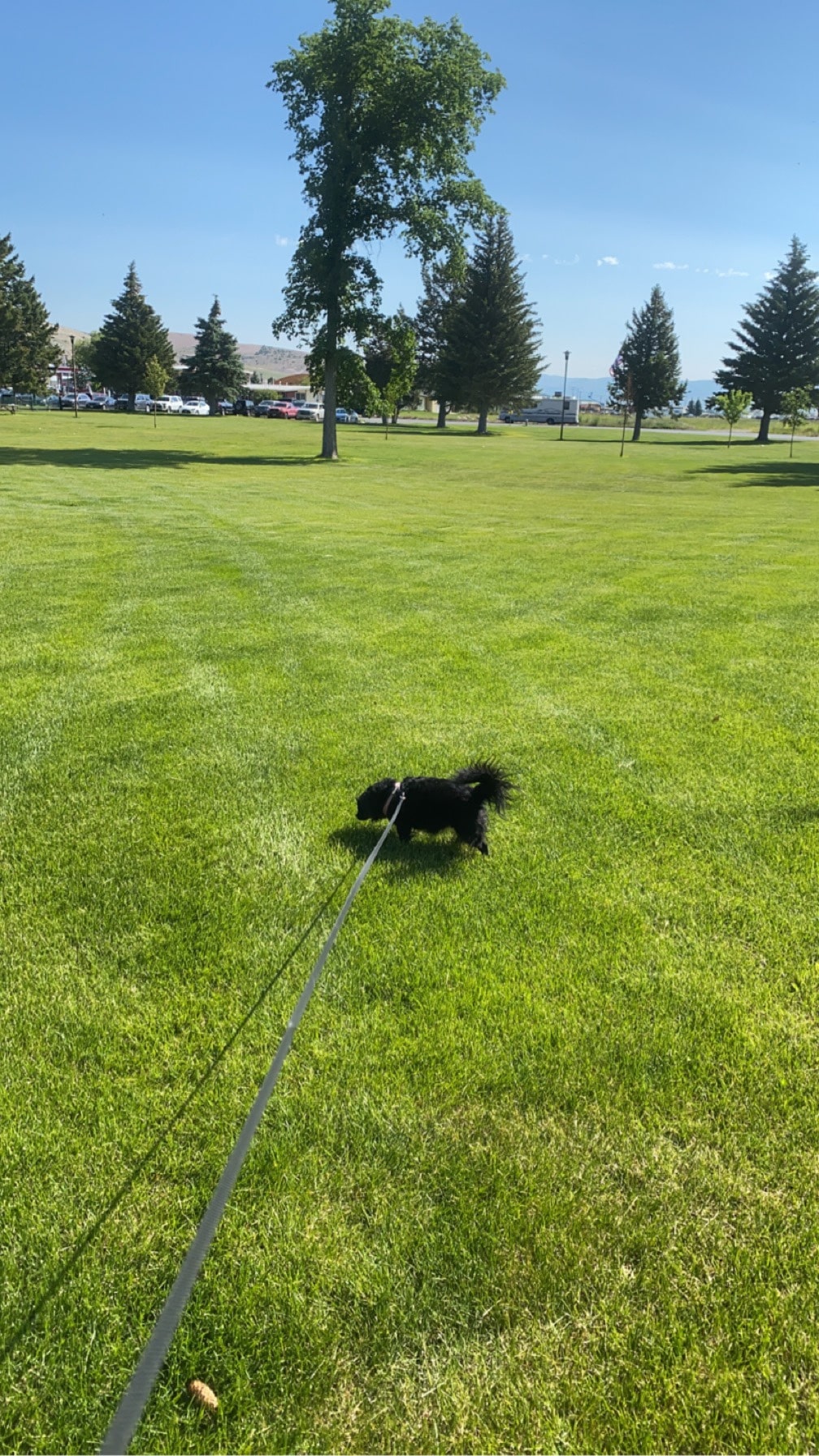 Benny Goodman Park - Anaconda, MT