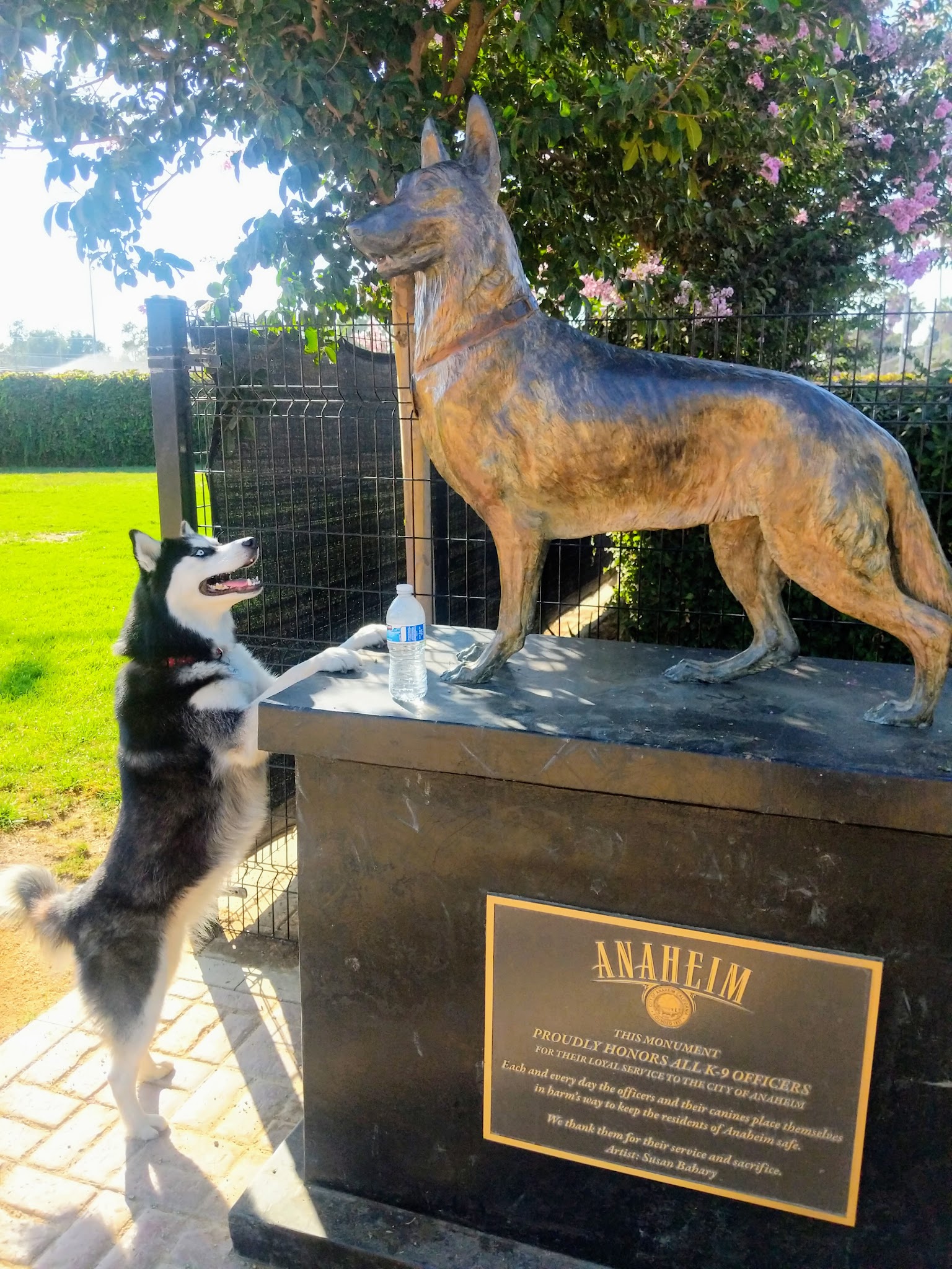 La Palma Dog Park - Anaheim, CA