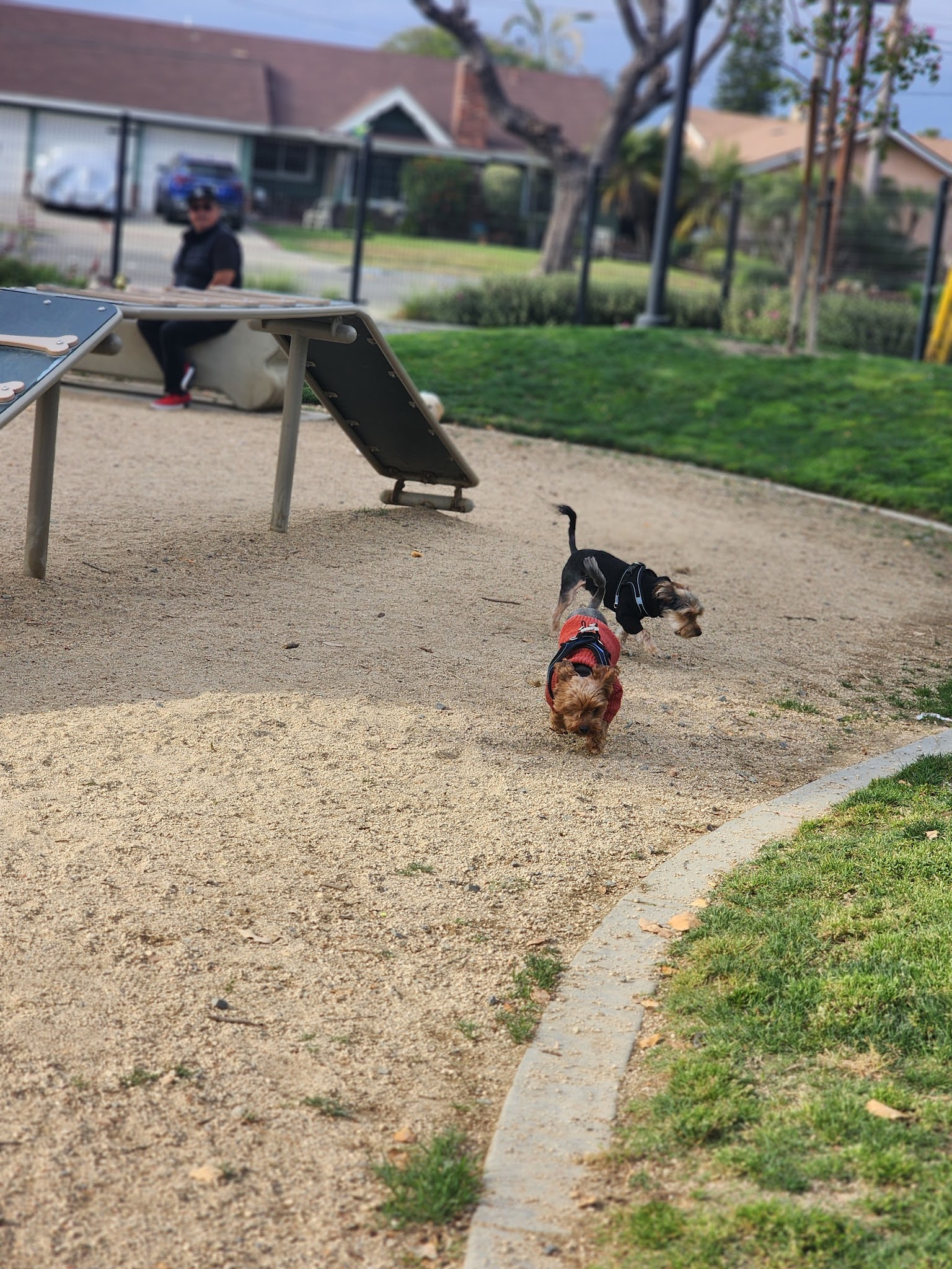 Maxwell Dog Park - Anaheim, CA