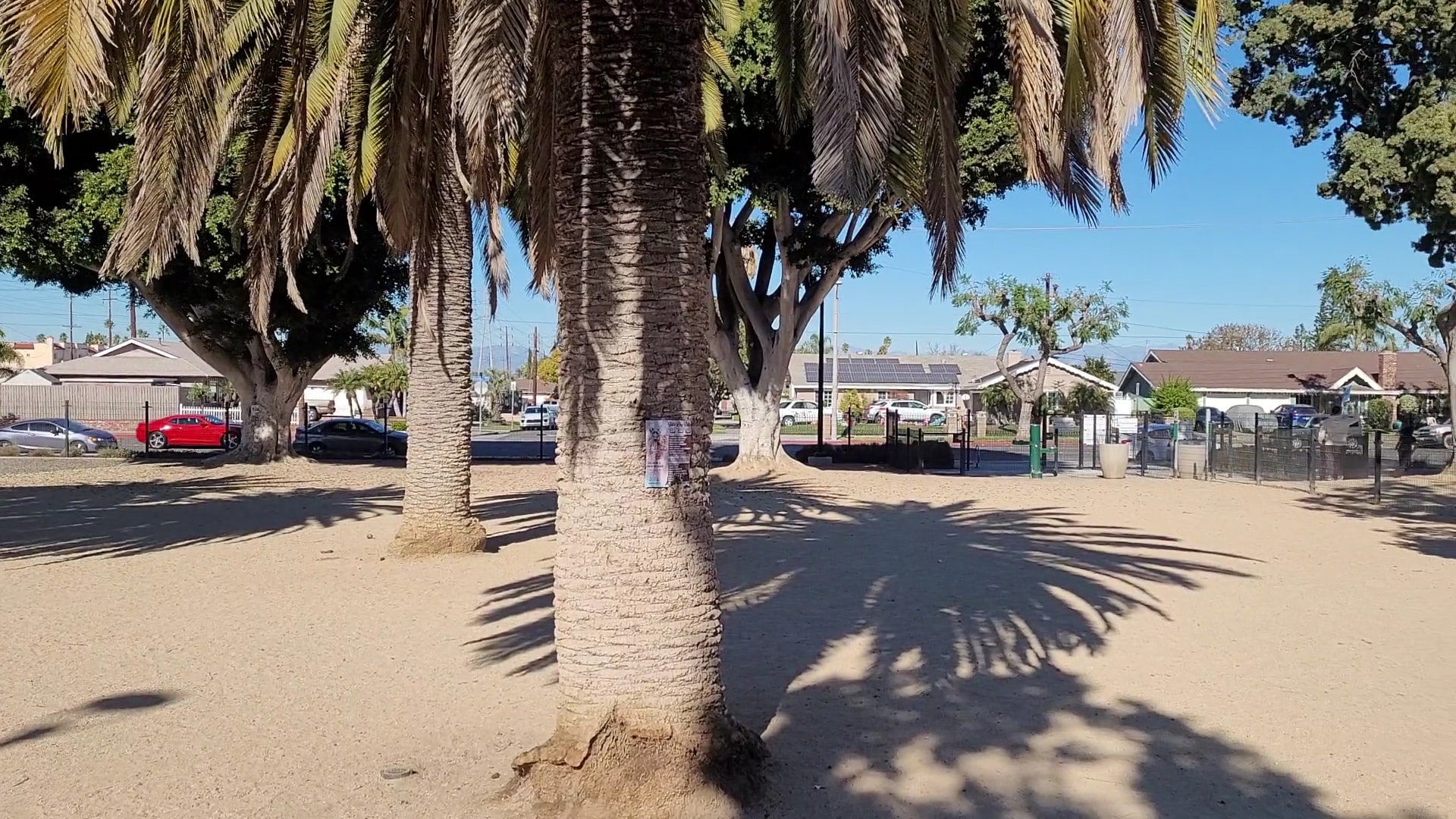 Maxwell Dog Park - Anaheim, CA