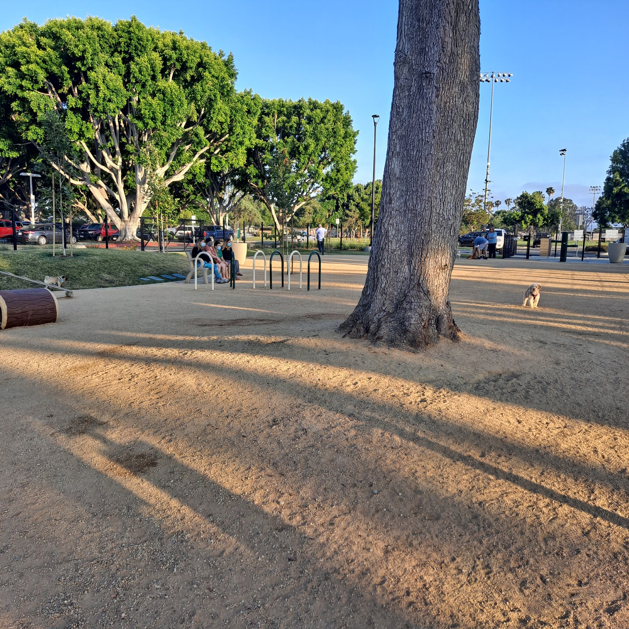 Maxwell Dog Park - Anaheim, CA