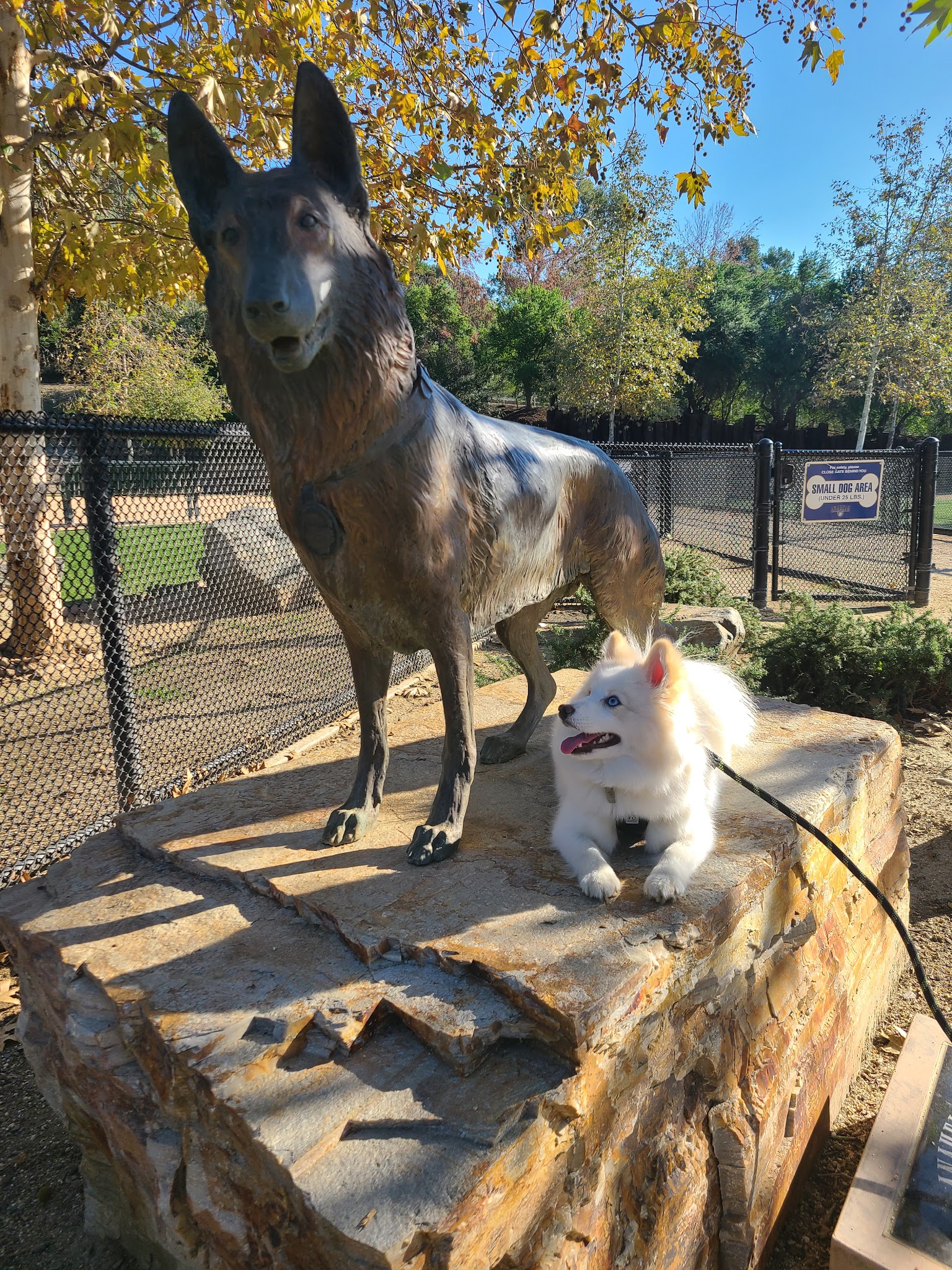 Olive Hills Park - Anaheim, CA