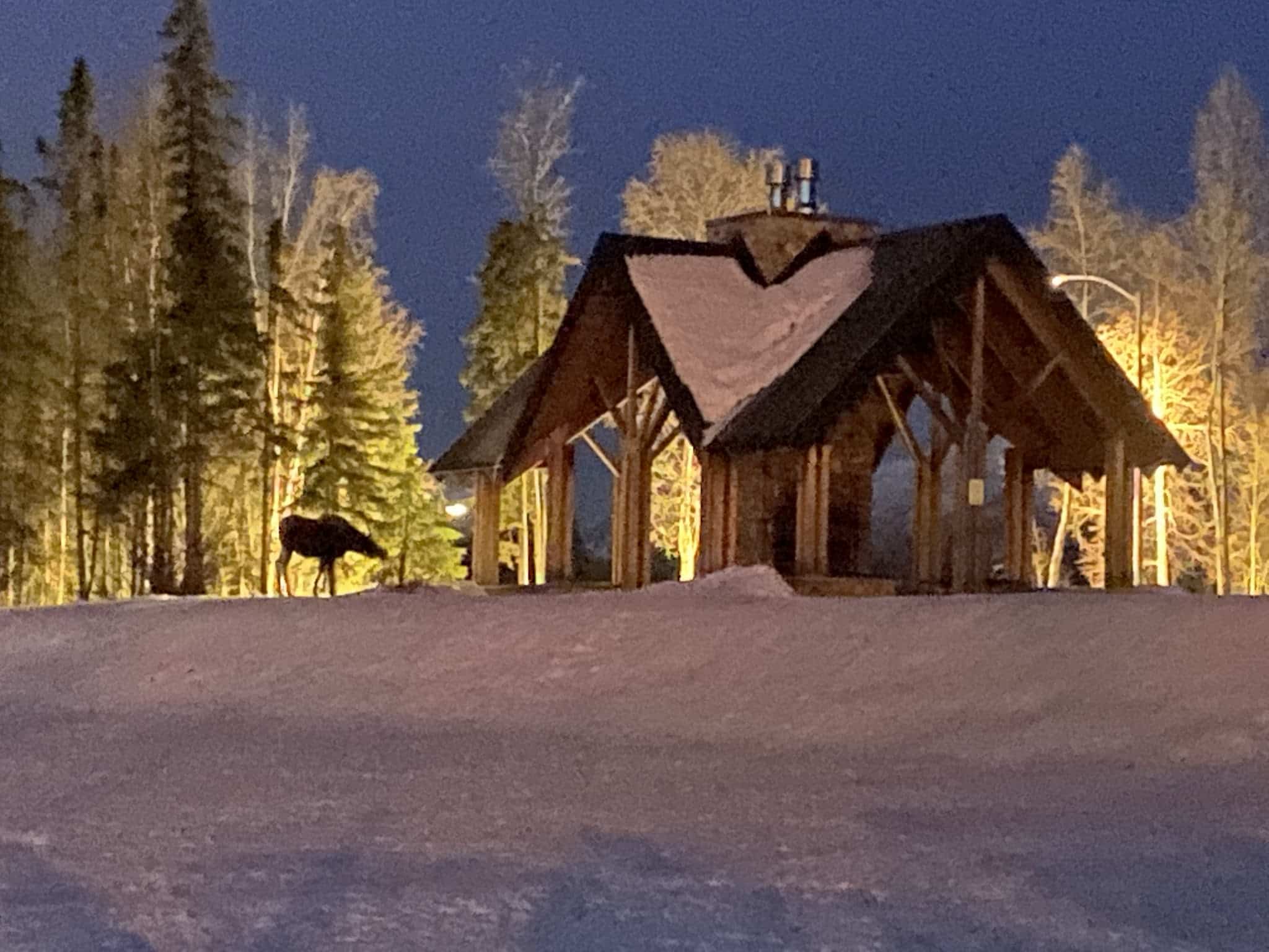 Abbott Loop Community Park - Anchorage, AK