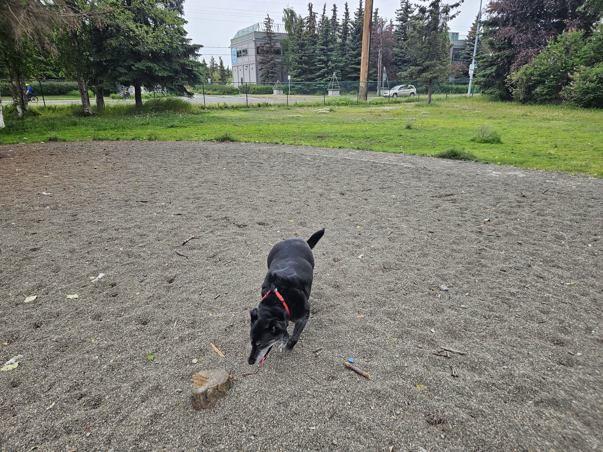Arctic Benson Park - Anchorage, AK