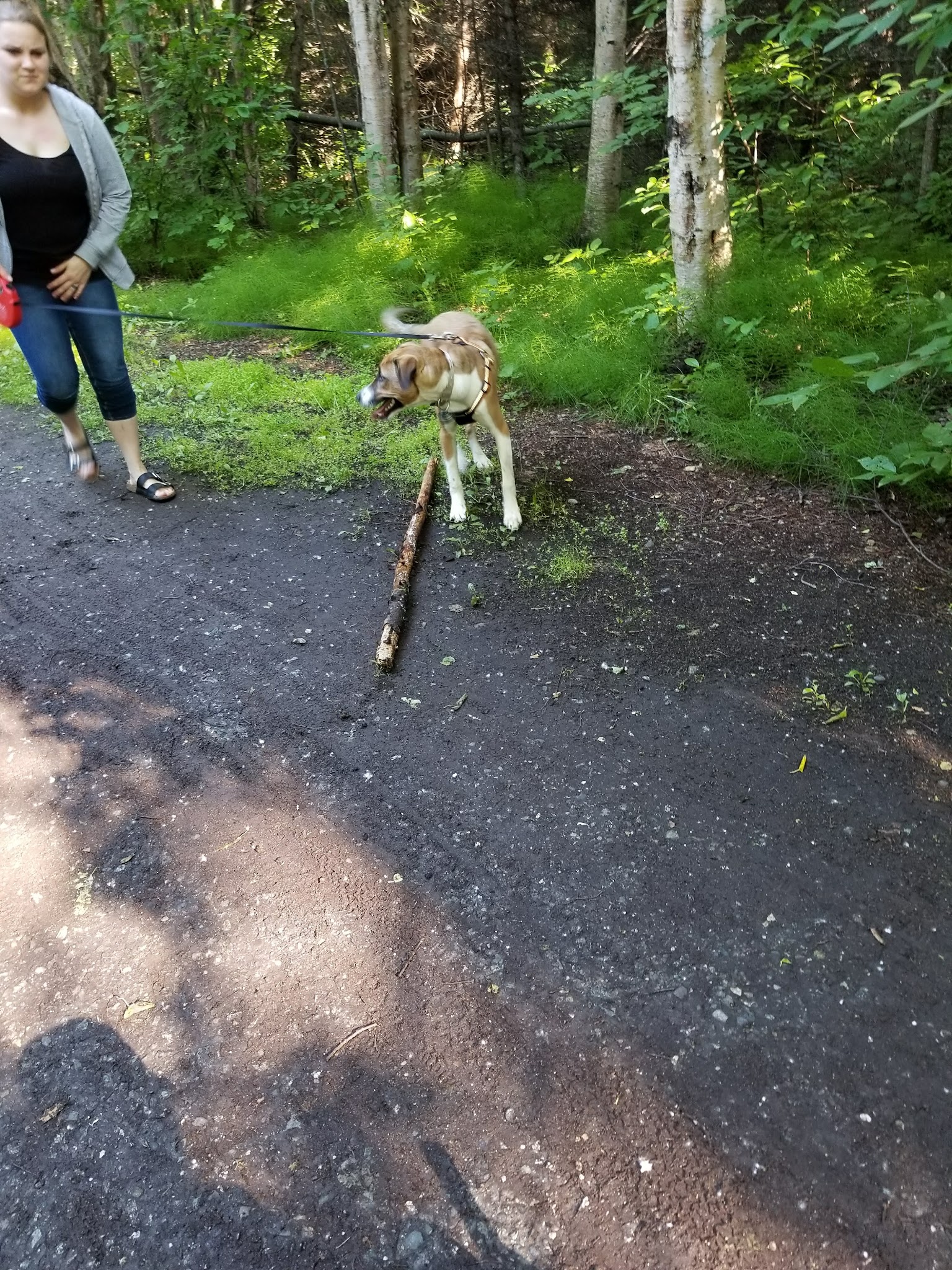 Arctic Benson Park - Anchorage, AK