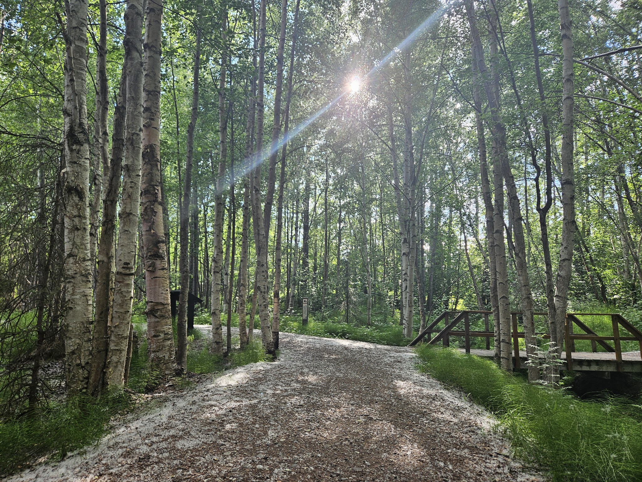Baxter Bog Park - Anchorage, AK
