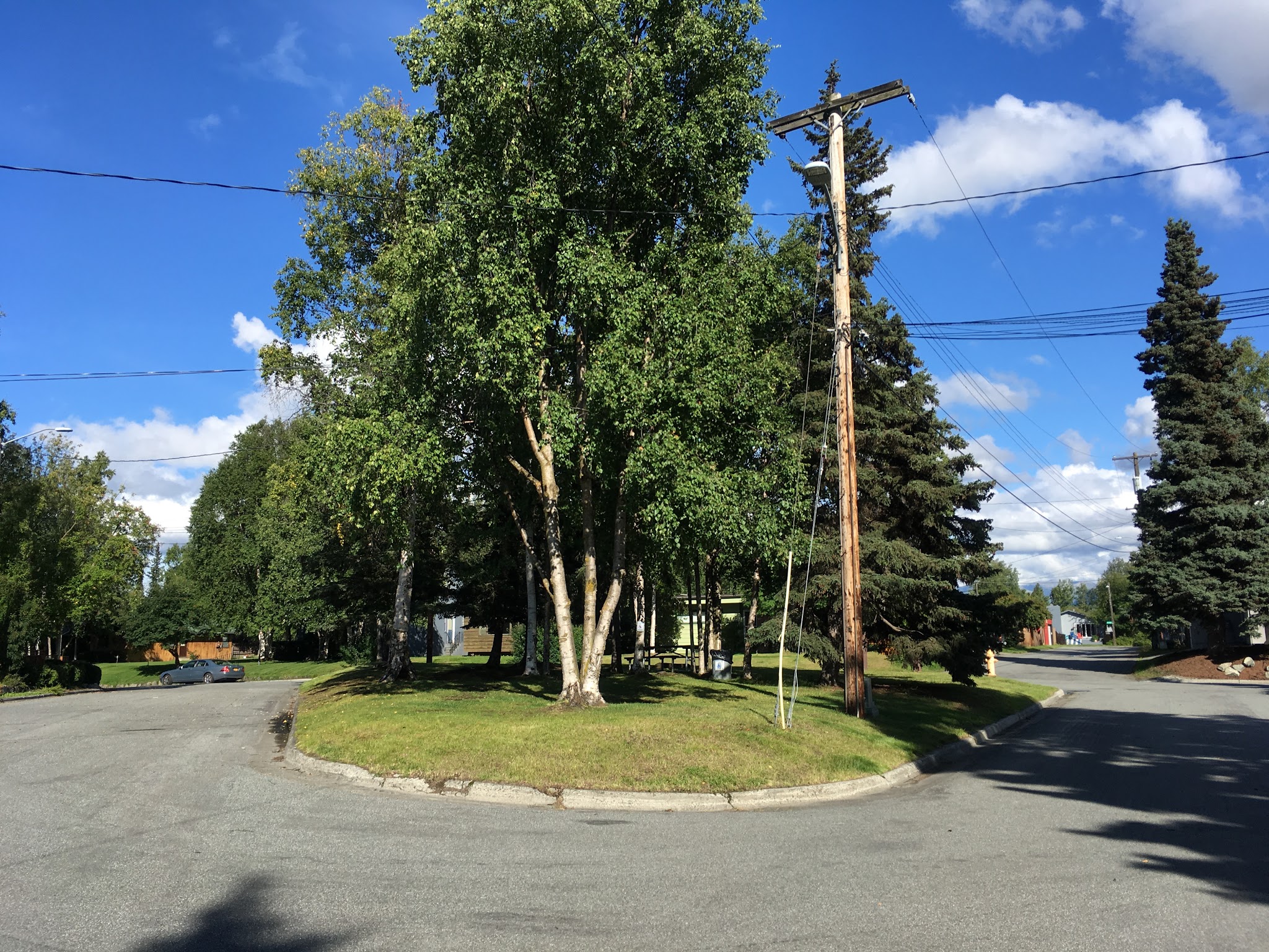 Coffey Park - Anchorage, AK