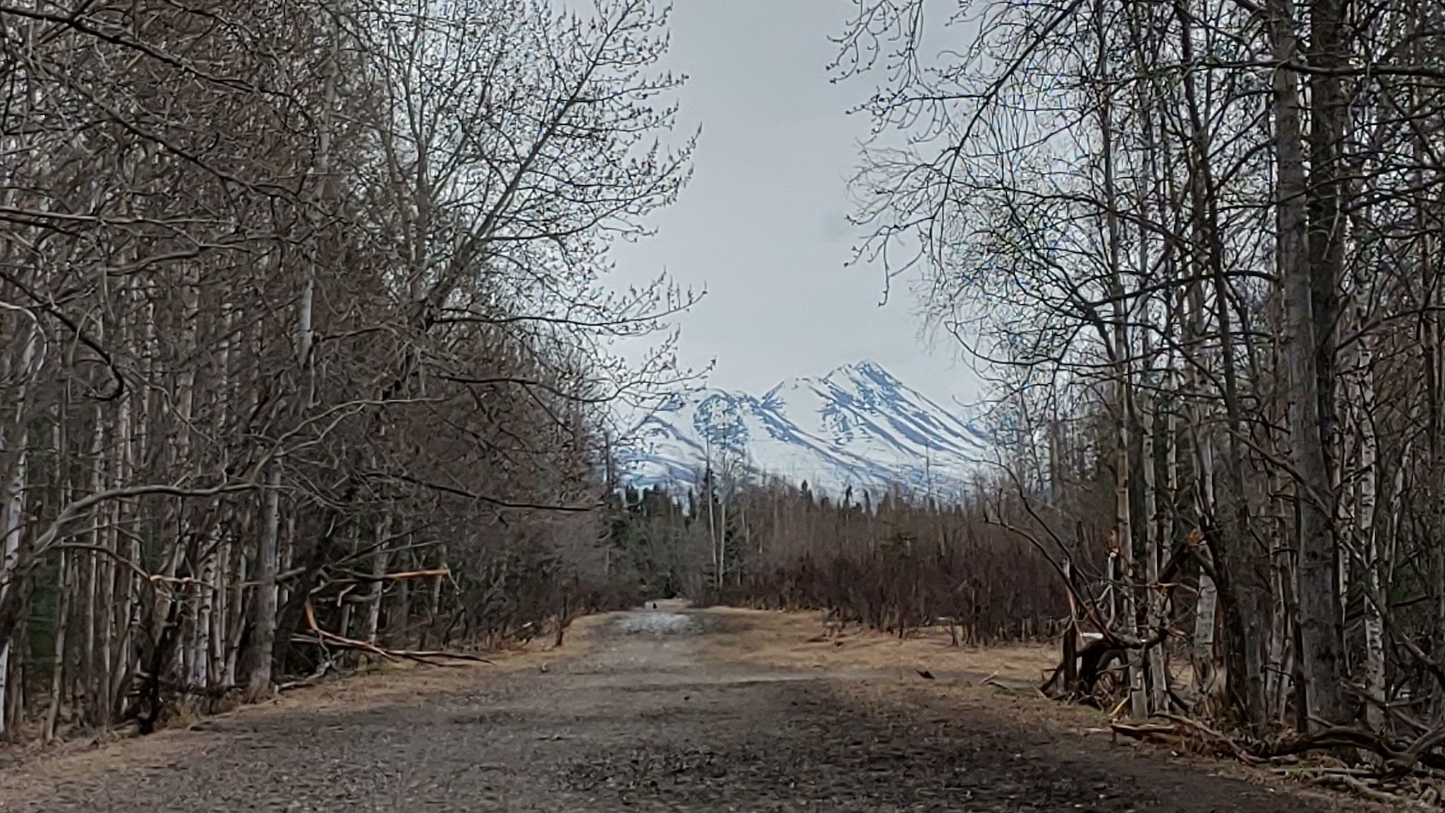 Connors Bog Park - Anchorage, AK