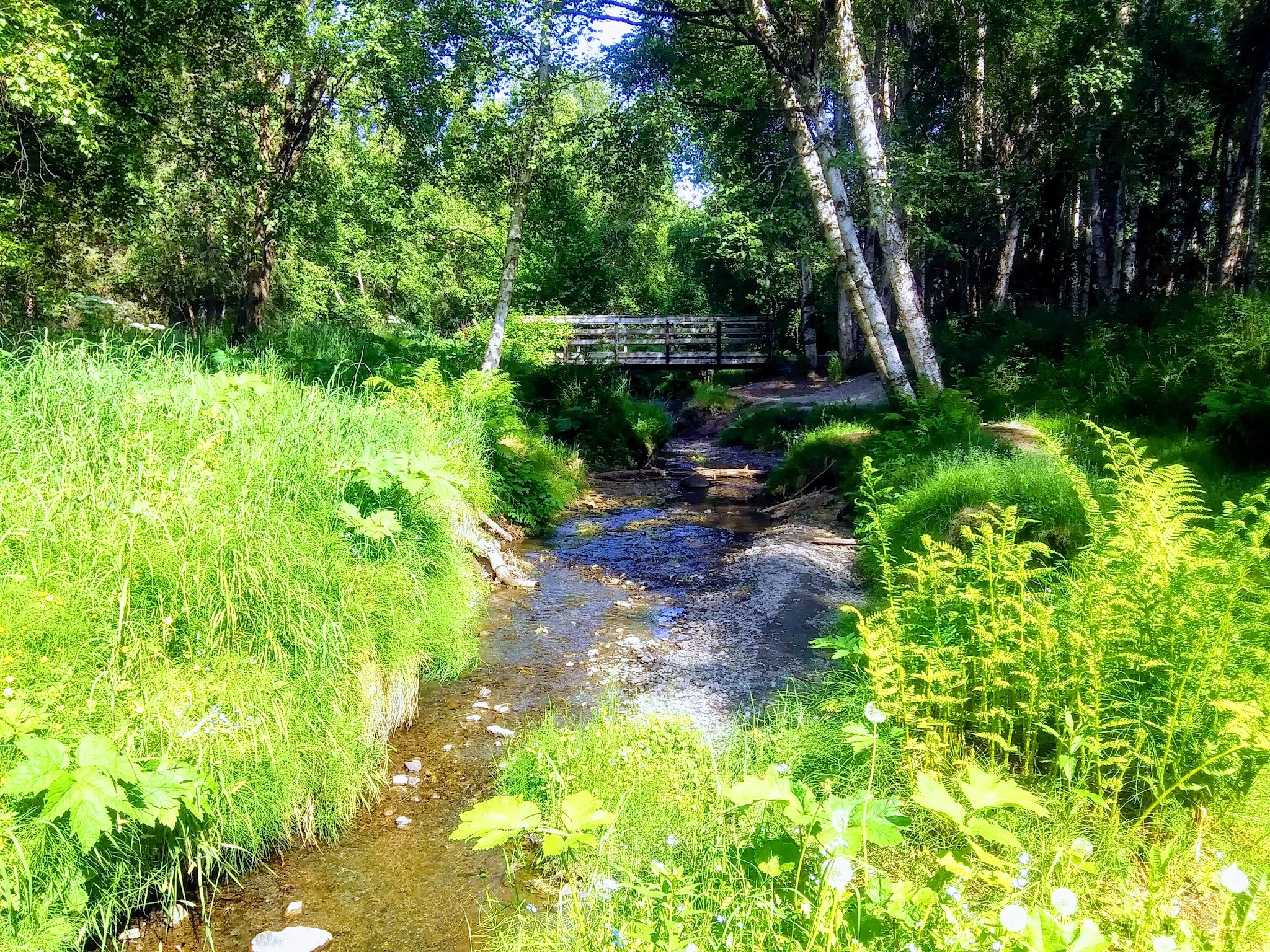 Johns Park - Anchorage, AK