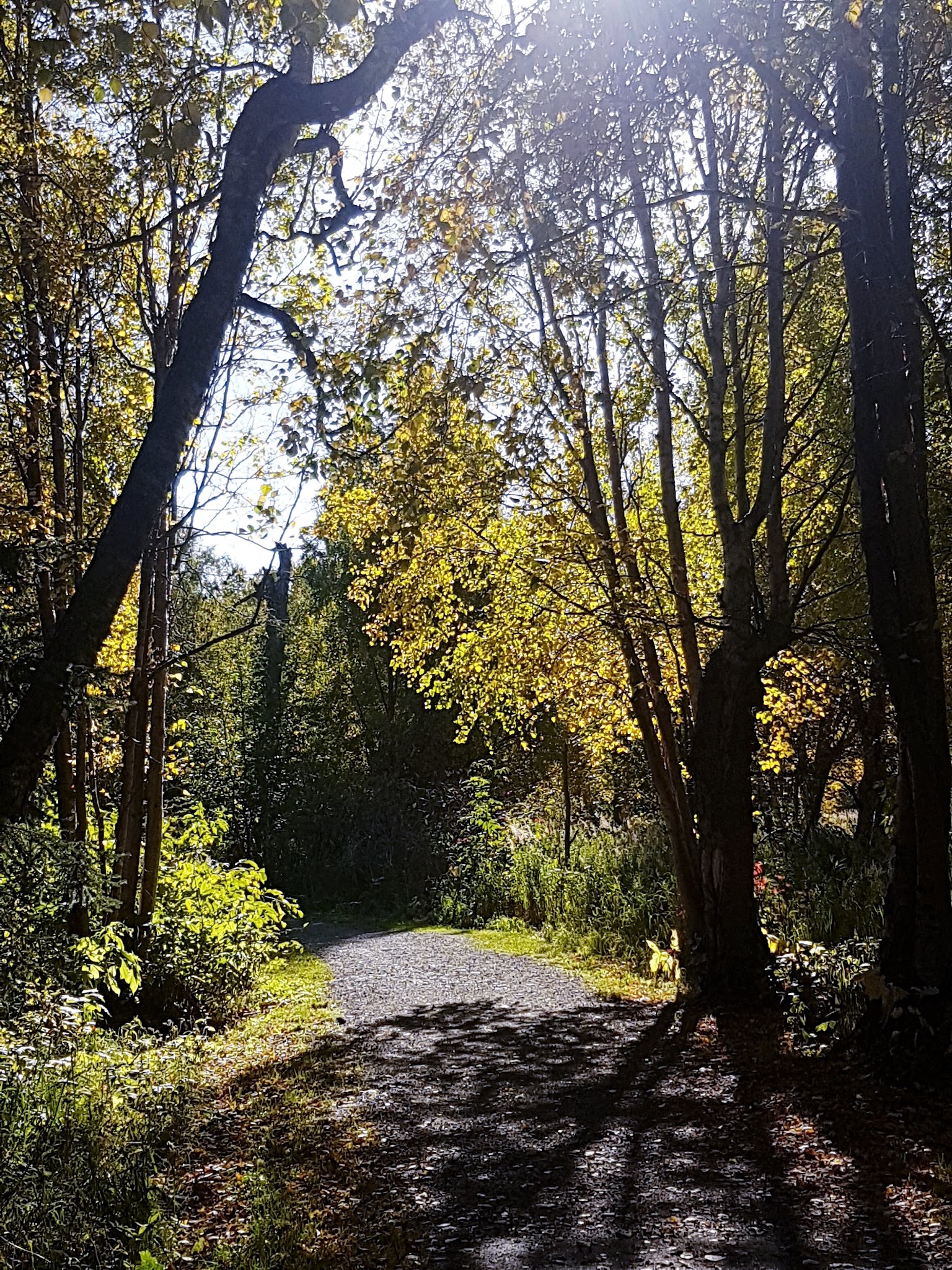Johns Park - Anchorage, AK
