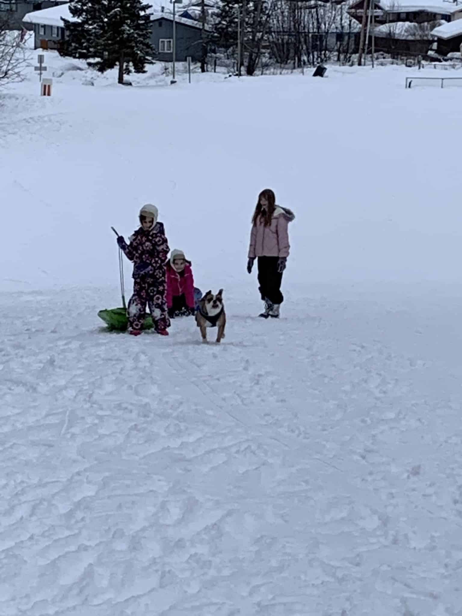 Moose Sled Hill - Anchorage, AK