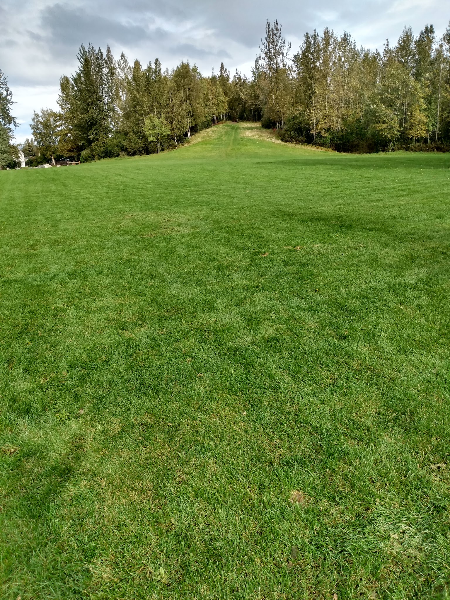Moose Sled Hill - Anchorage, AK