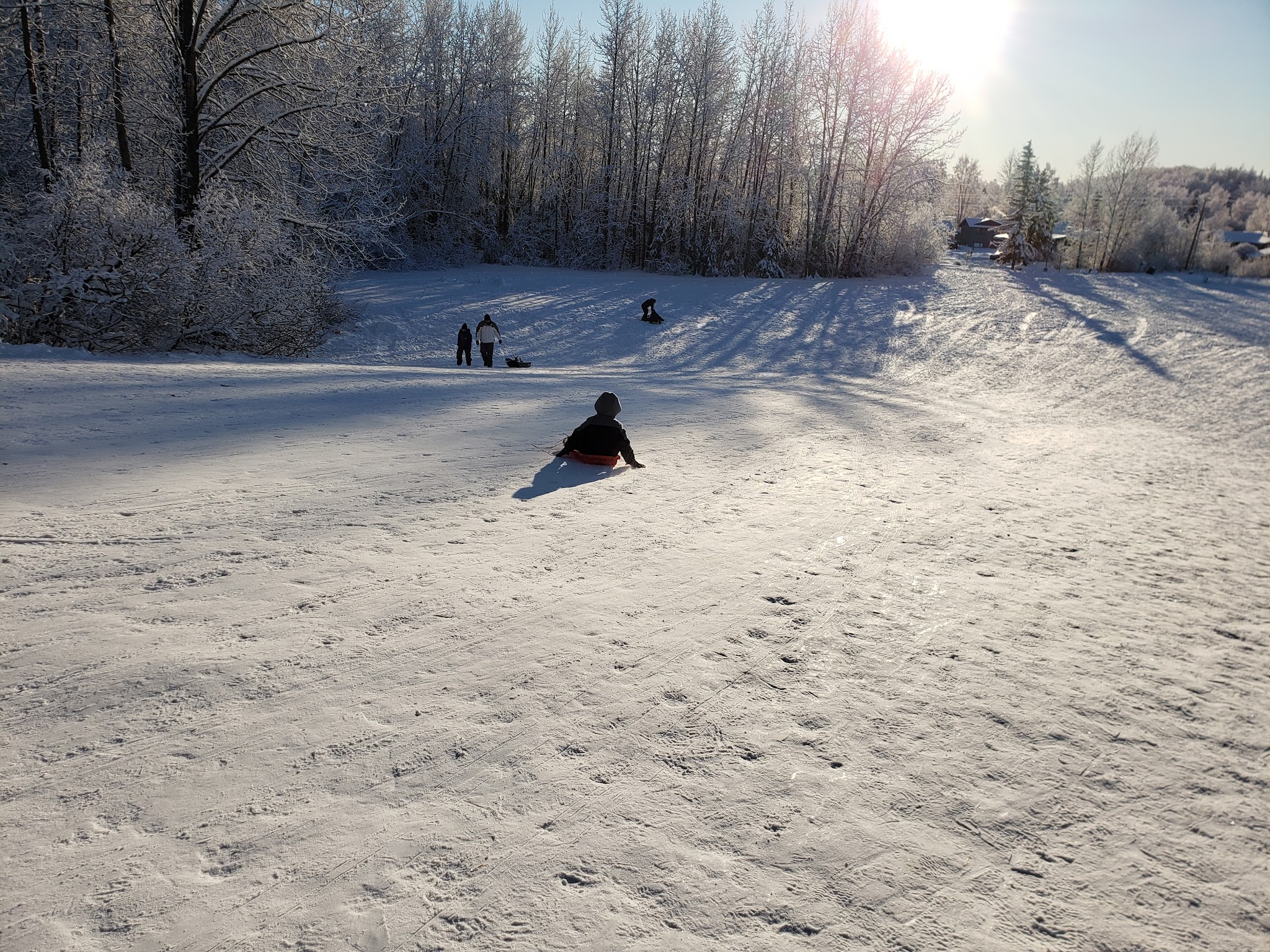 Moose Sled Hill - Anchorage, AK