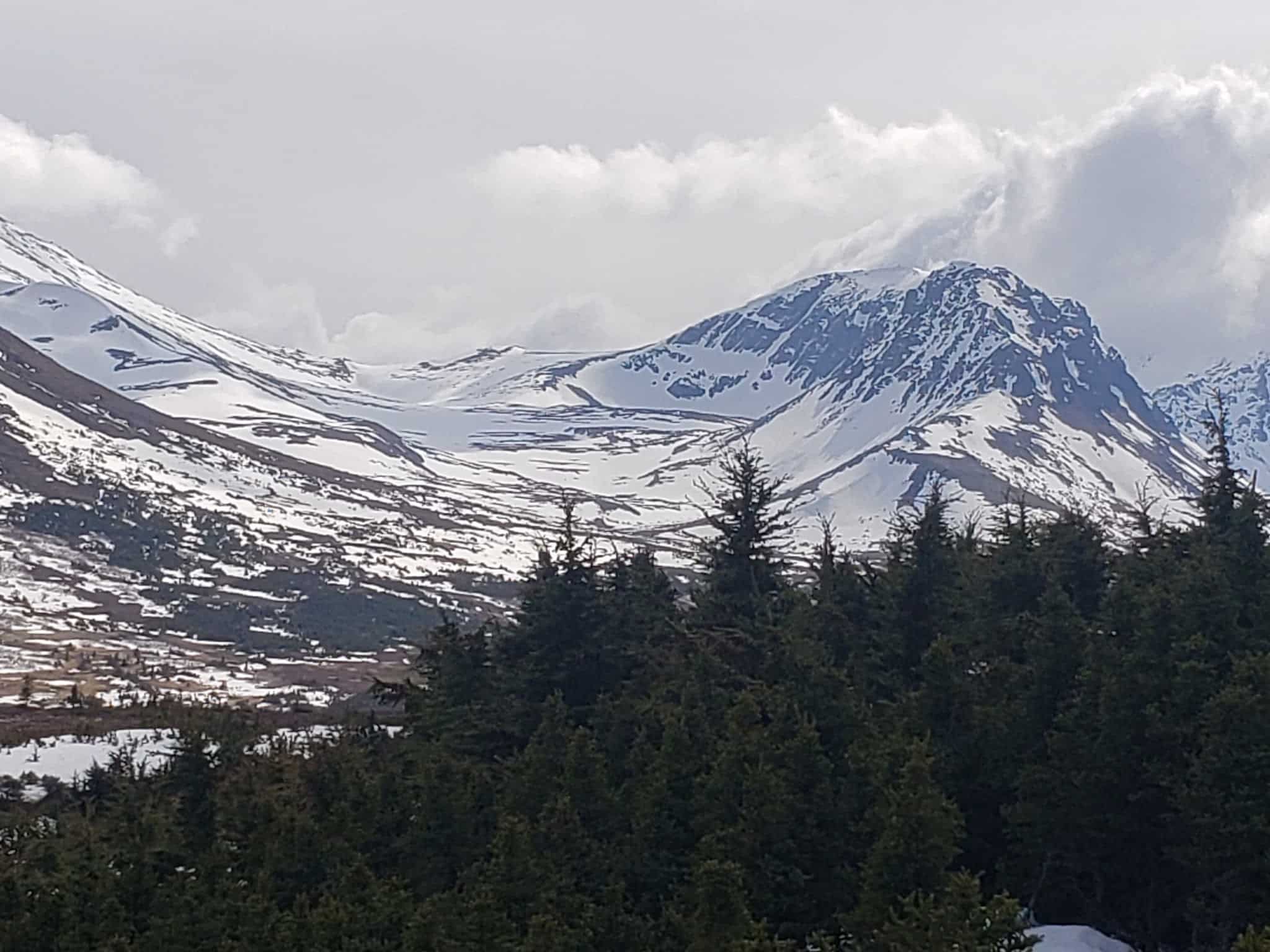 Nadine Park - Anchorage, AK