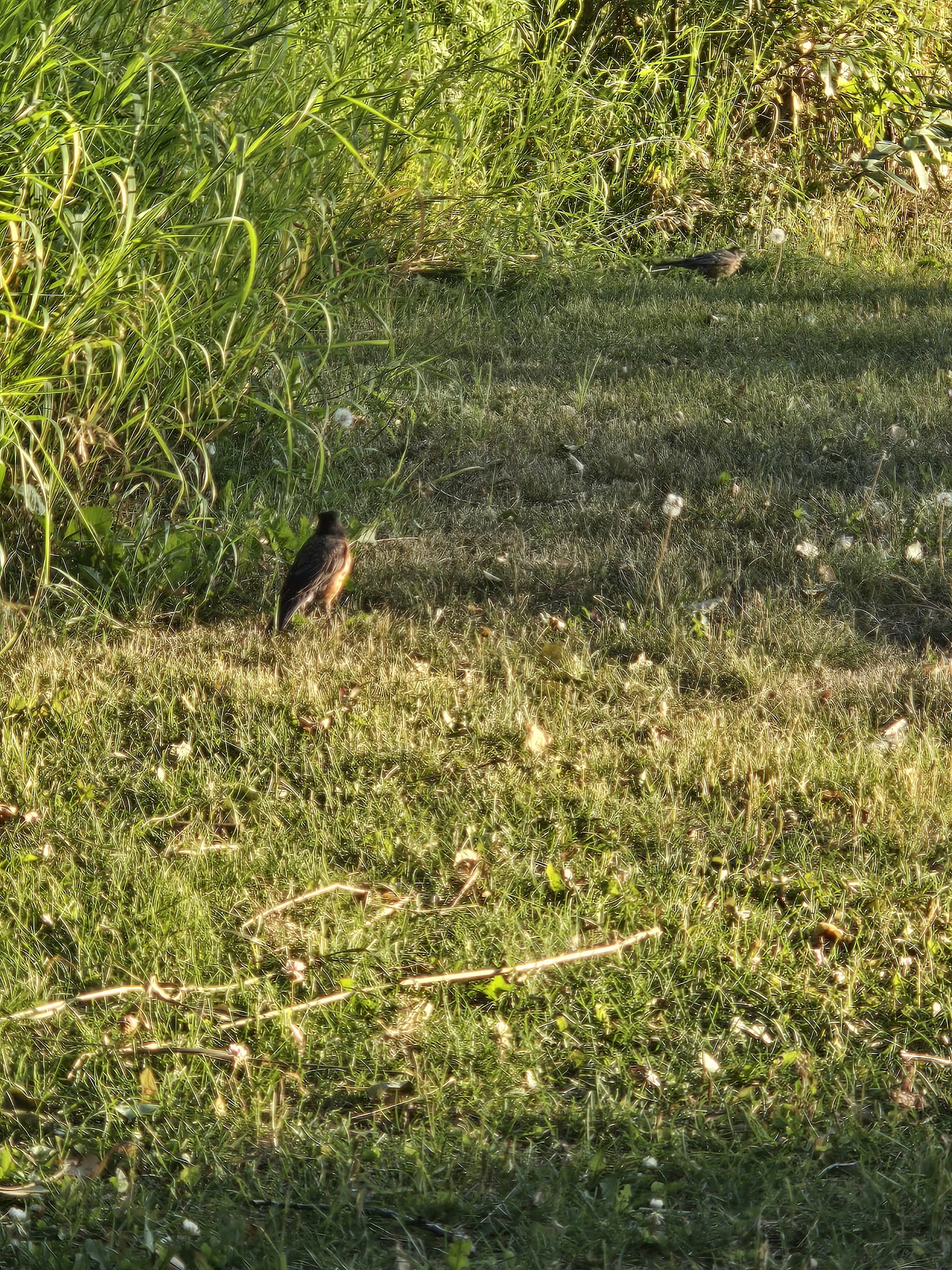 Nadine Park - Anchorage, AK