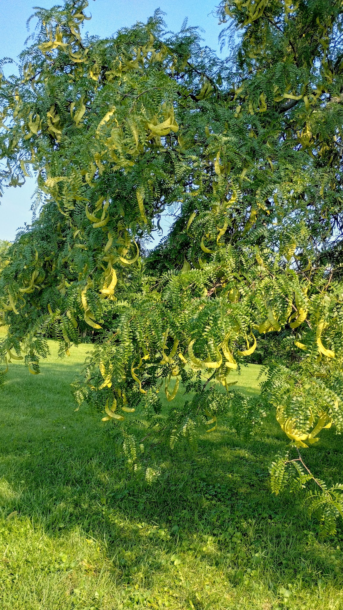 Walnut Street Park - Anderson, IN