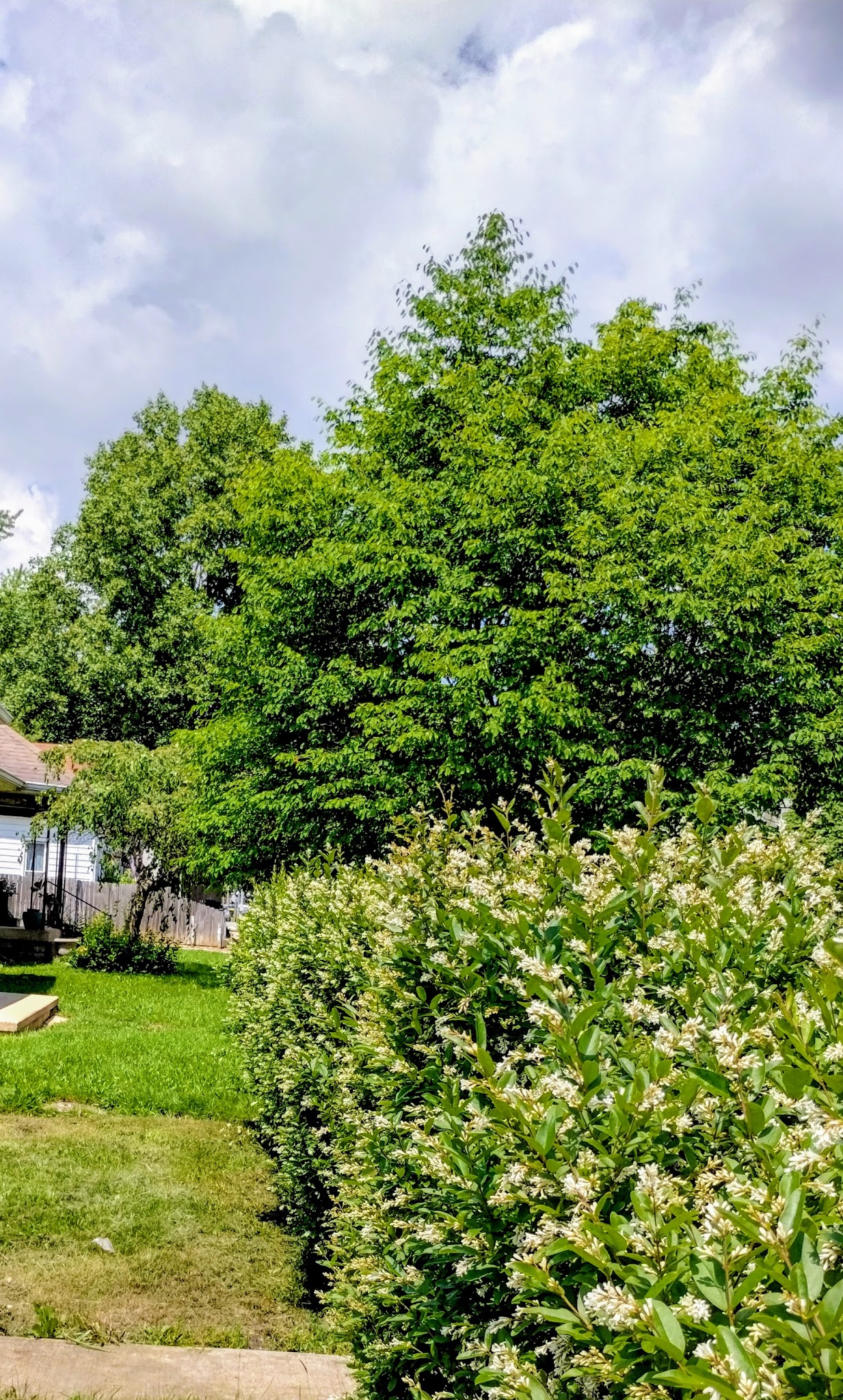 Walnut Street Park - Anderson, IN