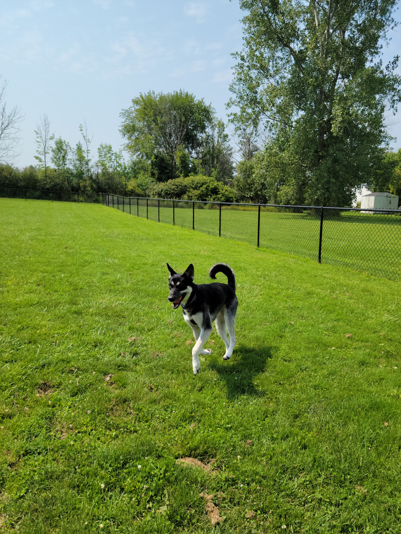 Evans Parks & Recreation - Angola, NY