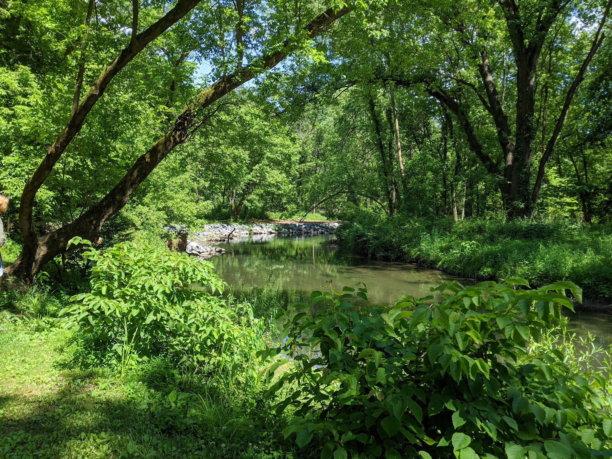 Quittie Creek Nature Park - Annville, PA