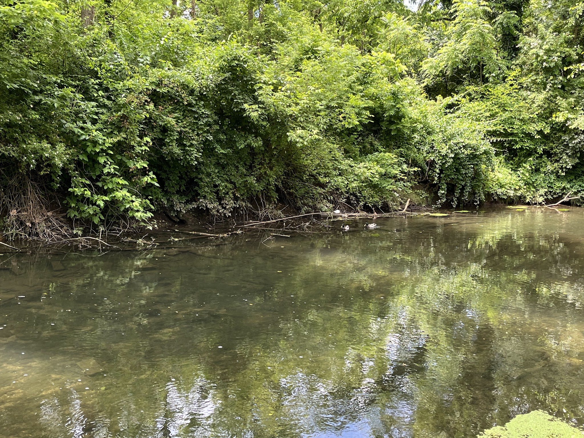 Quittie Creek Nature Park - Annville, PA
