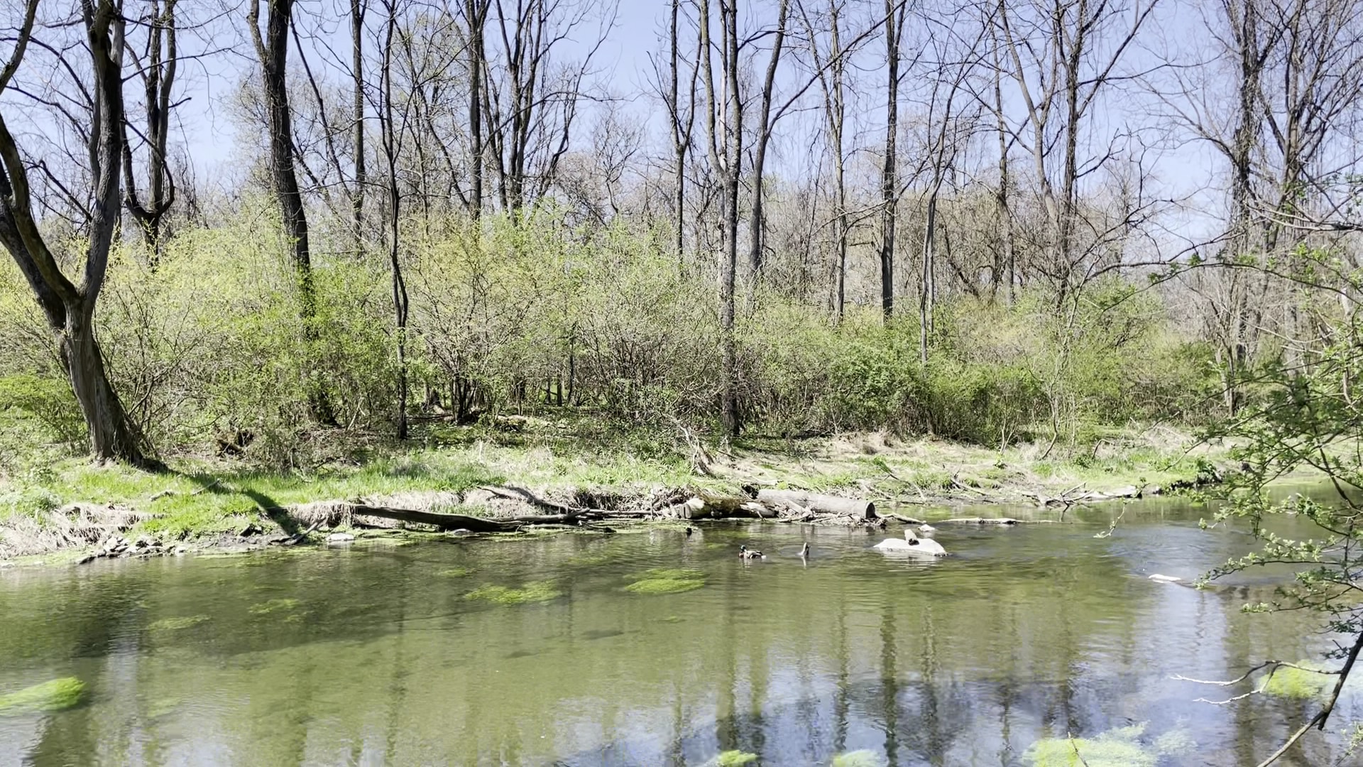 Quittie Creek Nature Park - Annville, PA