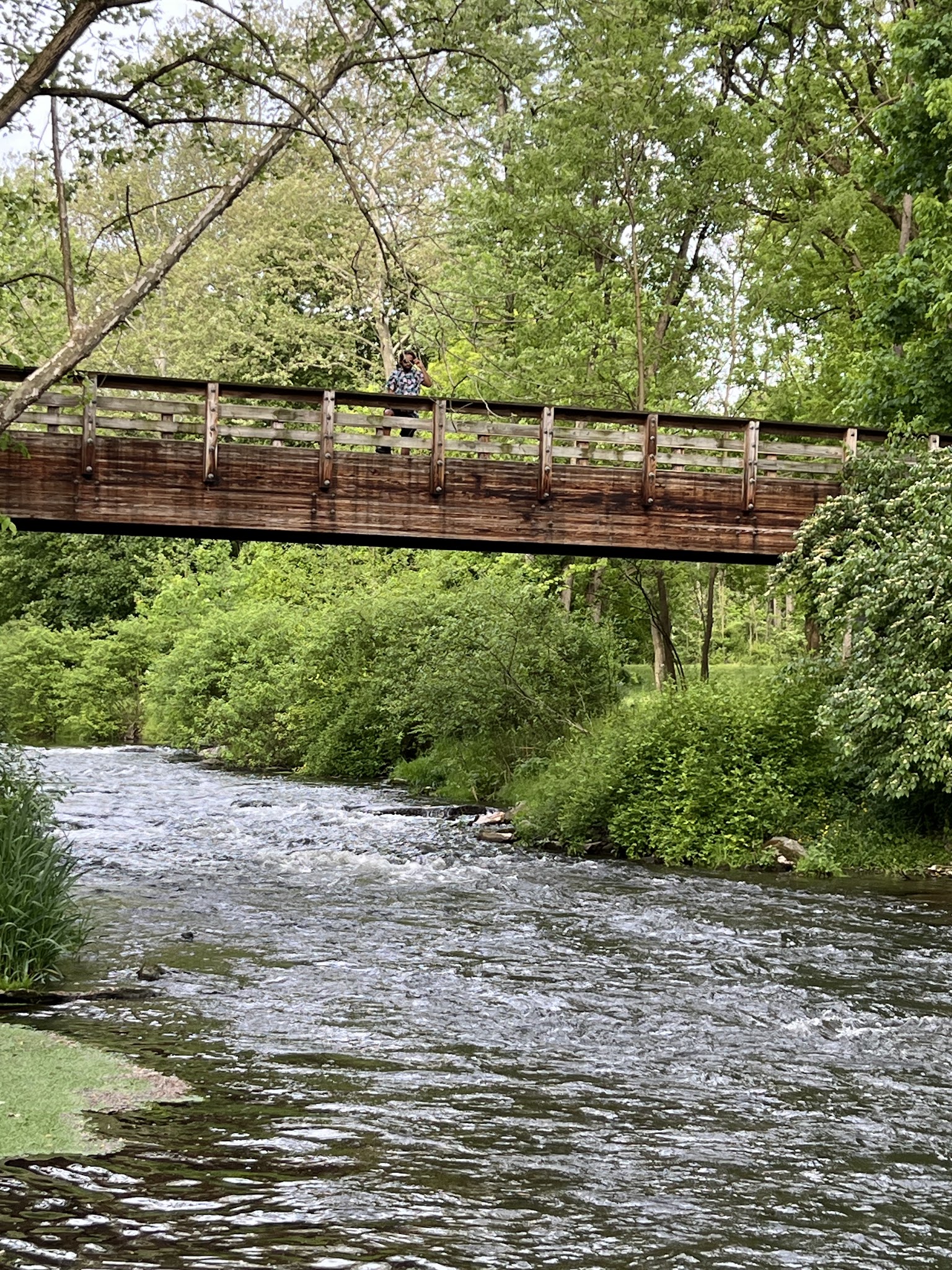 Quittie Creek Nature Park - Annville, PA