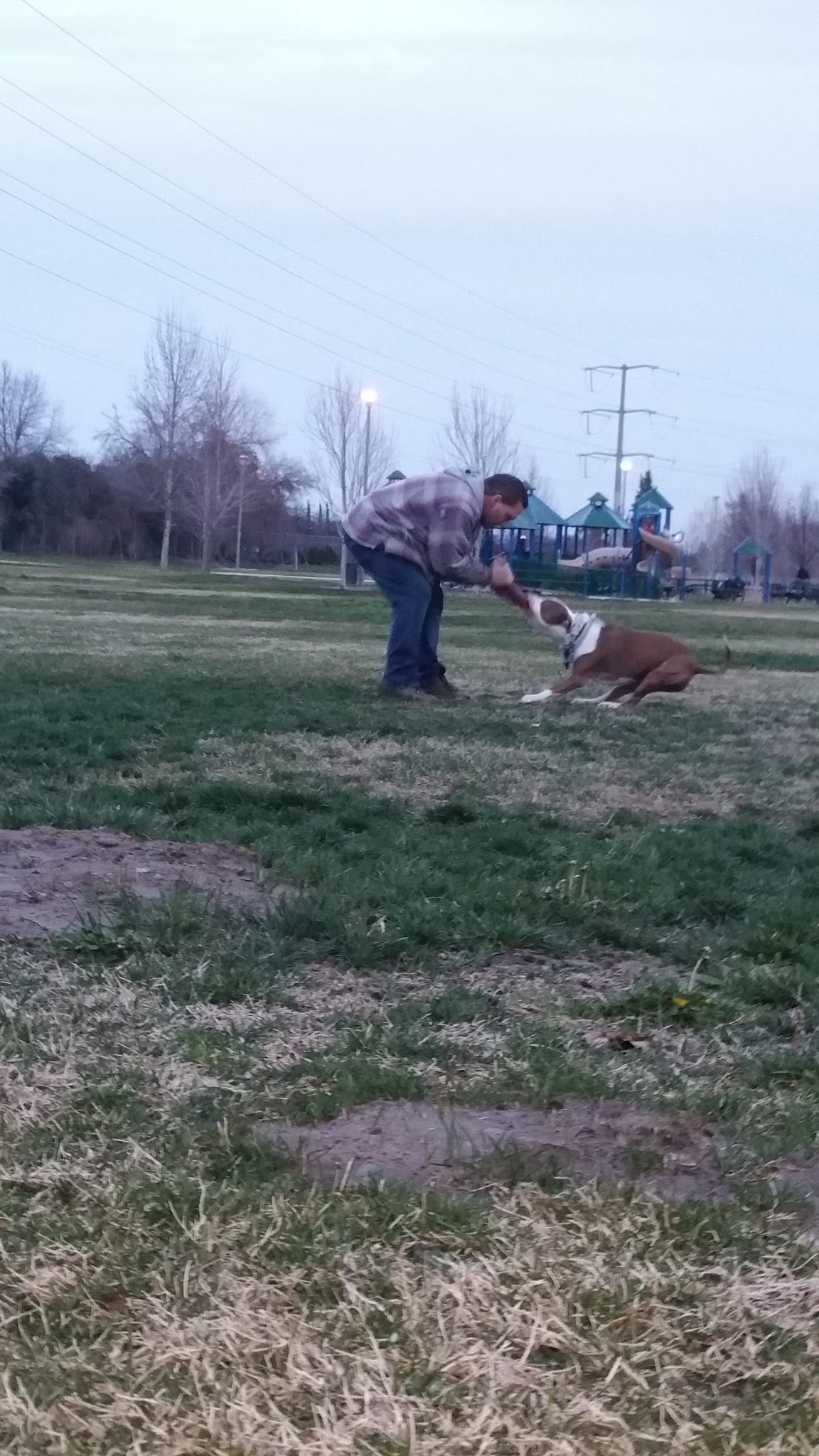 Almond Grove Park - Antelope, CA