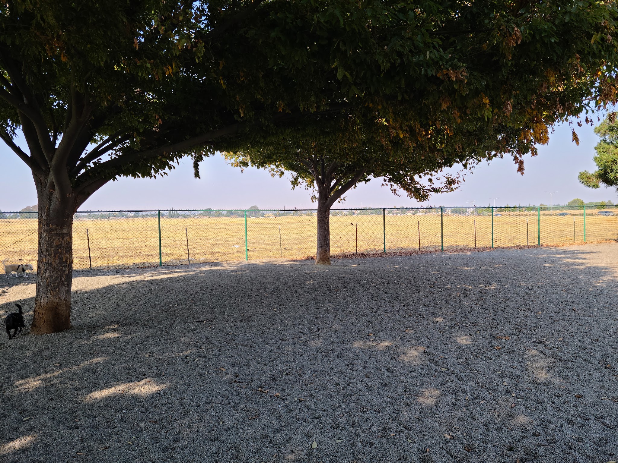 Markley Creek Dog Park - Antioch, CA