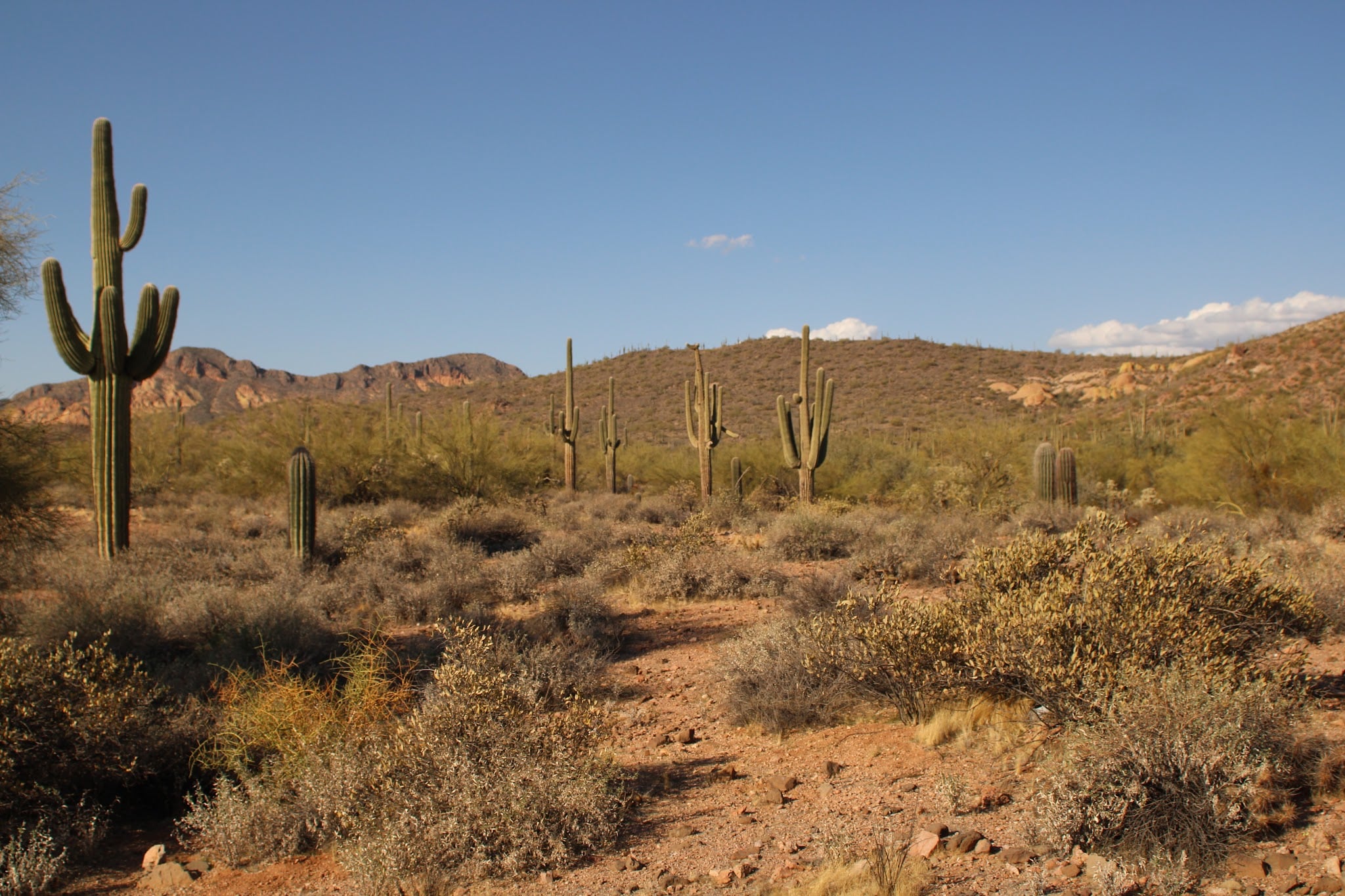 Bulldog Canyon OHV - Wolverine Gate - Apache Junction, AZ