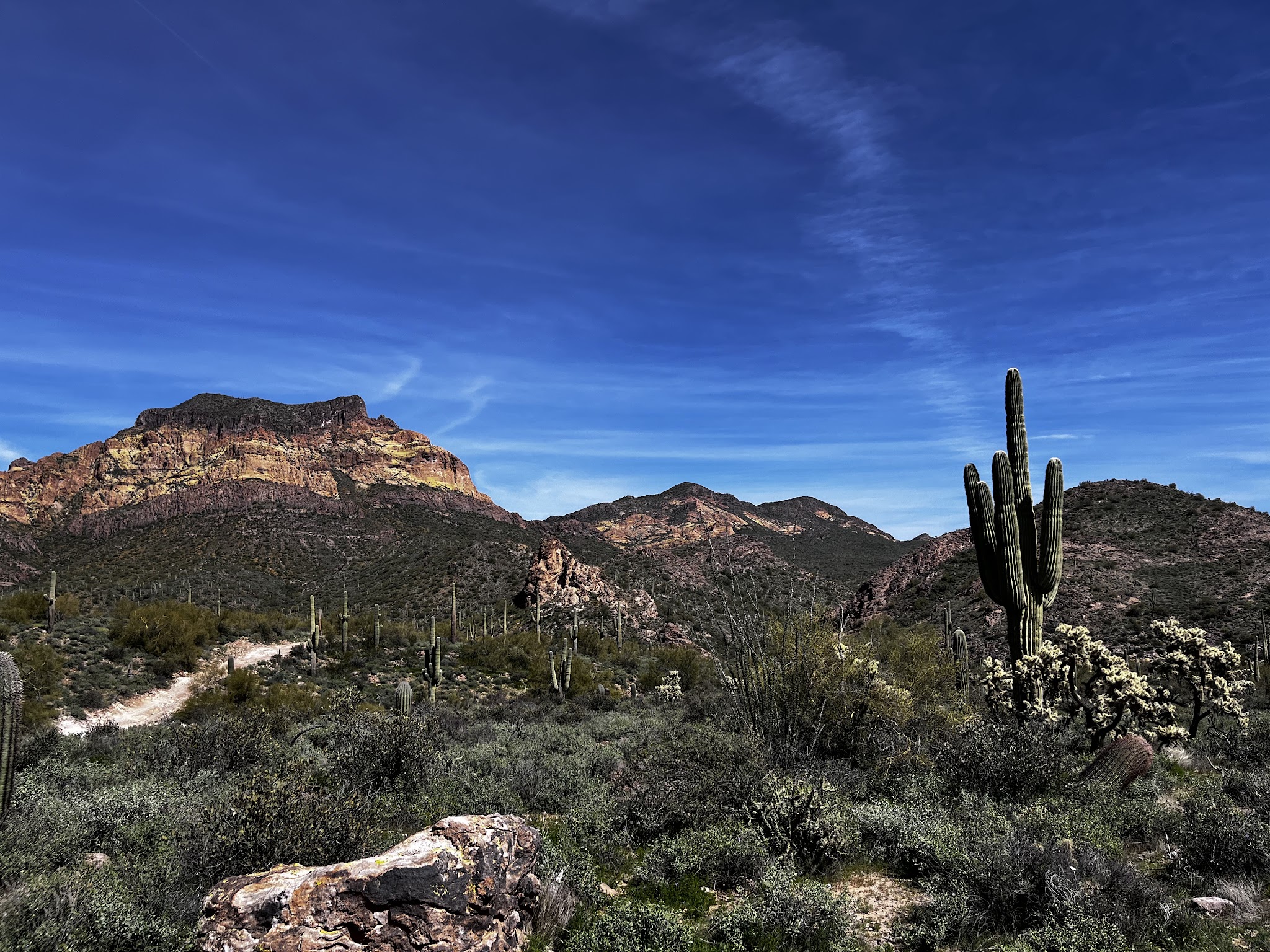 Bulldog Canyon OHV - Wolverine Gate - Apache Junction, AZ