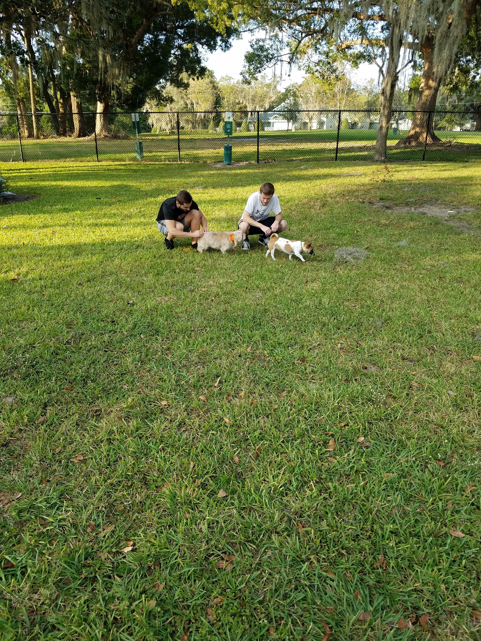Doctors' Dog Park - Apopka, FL