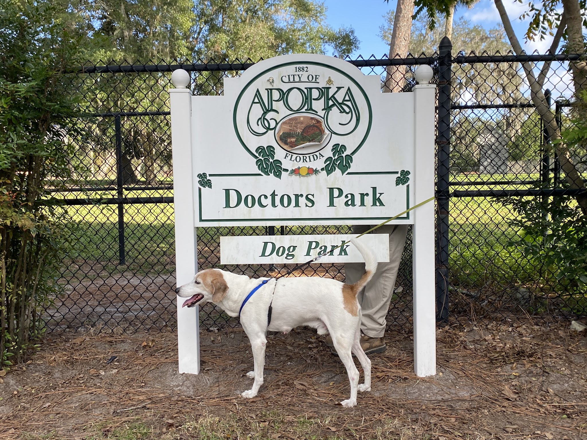 Doctors' Dog Park - Apopka, FL
