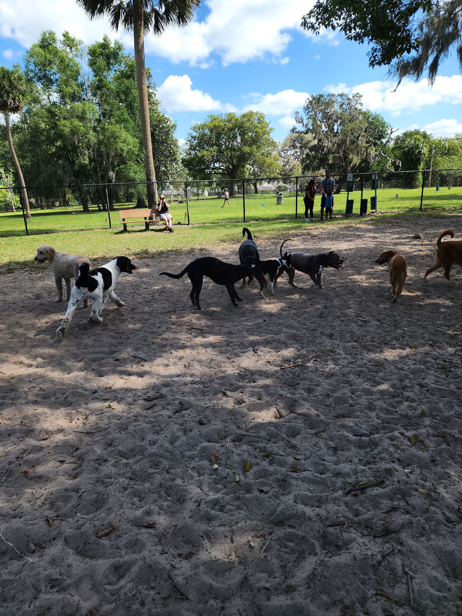 Doctors' Dog Park - Apopka, FL